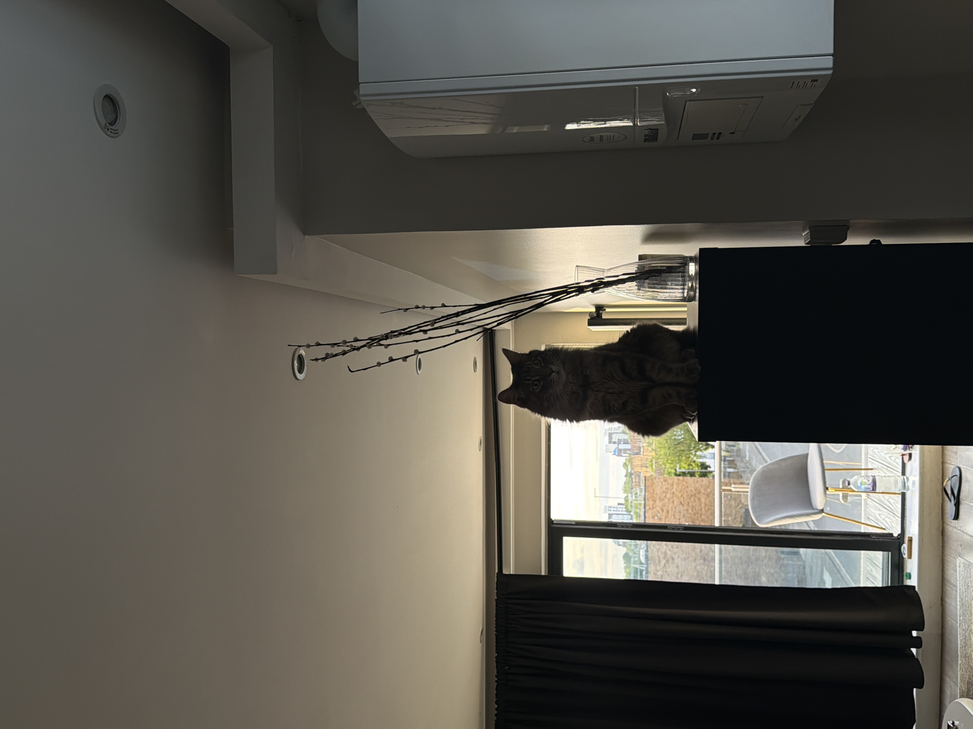 A domestic cat, appearing to be a grey-brown tabby, is positioned centrally in the upper mid-ground, sitting upright on a dark, elevated rectangular surface. Its head is turned towards the viewer, with eyes open. To the cat's immediate left on the same surface, a clear glass vase contains several bare branches with small buds. The room's ceiling, visible in the upper portion of the image, is white and features multiple recessed spotlights and a circular smoke detector. A white, wall-mounted utility unit, likely a boiler (possibly Vaillant given visible reflections and potential branding), is affixed to the wall on the far right.
To the left of the cat, dark curtains are drawn, partially obscuring a large window. Through the unobstructed portion of the window, a view of an urban landscape is visible under an overcast sky. A glass balcony railing is directly outside the window, and a light grey modern chair with gold-colored legs stands on the balcony. On the interior window ledge, a clear plastic bottle of Buxton brand water and other small items are present. Black flip-flops rest on a light-colored rug on the floor in the foreground. The external environment reveals dense urban architecture, including multi-story residential buildings and trees, consistent with the city of London, United Kingdom. The scene is illuminated by natural light from the window, creating a backlit effect for the cat and casting shadows within the interior space. No people are visible.