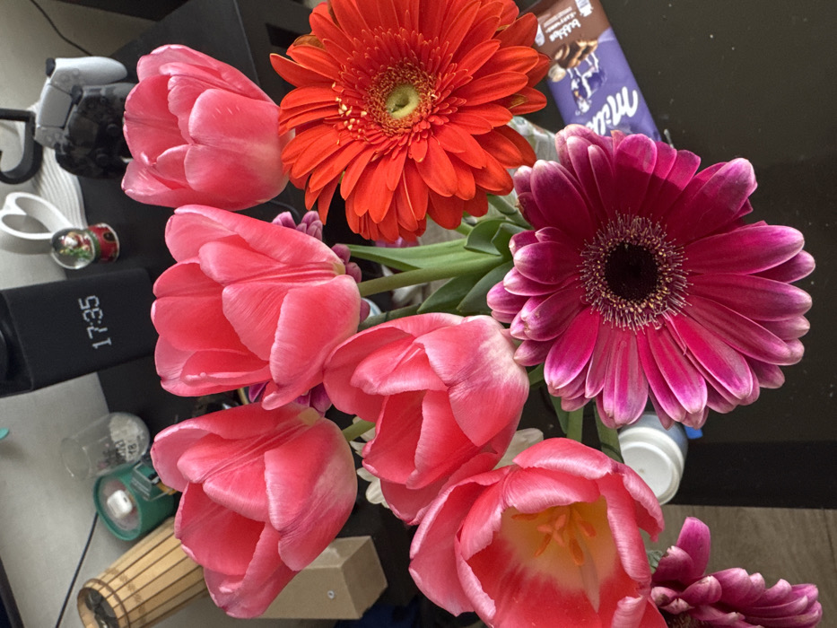 The image displays a still life scene in an indoor setting. The specific location within Chaikovsky, Russia, cannot be determined from the visual information provided.
The central focus is a bouquet of flowers arranged in a clear glass vase on a dark, reflective surface, likely a table. The bouquet consists of approximately seven to eight pink tulips, many with white margins on their petals, and two prominent gerbera daisies. One gerbera daisy is bright red, located in the upper right portion of the floral arrangement, while the other is a vibrant magenta/fuchsia, positioned in the lower center. One pink tulip on the lower left is more open, revealing a yellow-orange center with pistils and stamens.
In the background, various objects are visible. On the upper left, a light-colored, cylindrical, possibly wooden decorative object, similar to a small lamp shade, stands next to a light brown cardboard box. To the right of these, a small, light green cylindrical container with a white lid and a clear glass containing a white object (possibly an earbud charging case) are present. A black rectangular digital clock displaying "17:35" in white numerals is situated in the upper center. To its right, a small snow globe with a red base is visible, next to a white ceramic mug with a heart-shaped handle. Further to the right, a gray and white PlayStation 5 controller is partially visible. In the lower right corner, a purple Milka Bubbly chocolate bar wrapper rests on the dark surface.
No people are depicted in the image. The scene is static, showing no actions or interactions.