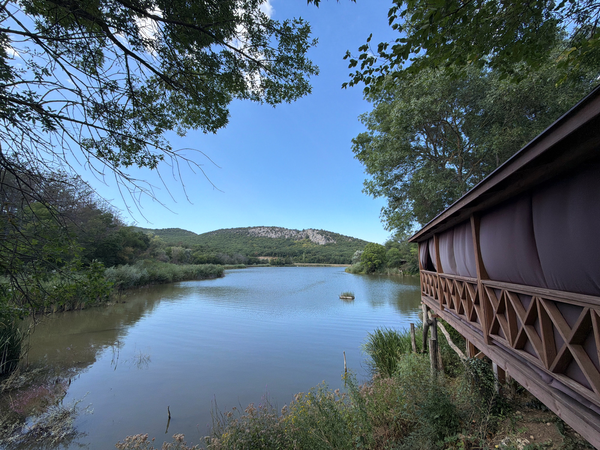 A scenic view captures a tranquil body of water surrounded by lush greenery and rolling hills under a clear blue sky. In the foreground, a rustic wooden structure, possibly a gazebo or viewing platform, juts out over the water's edge, its wooden lattice work and dark fabric curtains adding a touch of charm. The water itself is calm, reflecting the sky and surrounding vegetation. A small, floating raft, covered in greenery, is visible in the middle of the lake. The background is dominated by a verdant hillside, its slopes dotted with trees and shrubs. The overall impression is one of peaceful natural beauty, suggesting a location for relaxation and contemplation. The geographical coordinates of the Balaklavsky District, Ukraine, are approximately 44.5232° N, 33.5908° E.