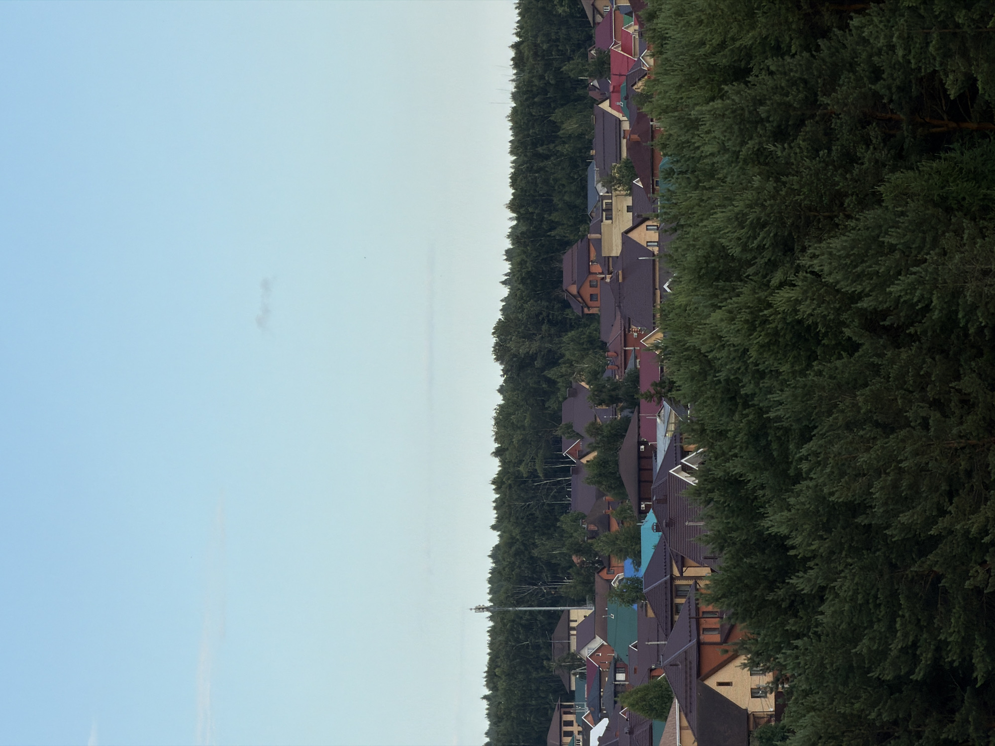 The image depicts a suburban landscape with numerous houses and dense green trees. The houses feature diverse roofing colors, including red, purple, blue, and green, with some displaying lighter-colored walls. They are nestled among a thick forest of tall, dark green trees that dominate the right side of the frame and extend into the background, creating a sense of depth.
In the distance, a cell tower is visible against a pale, hazy sky. The sky itself is a light blue, suggesting daytime, possibly late afternoon or early morning due to the softness of the light and the hazy appearance. There are a few wispy clouds or atmospheric distortions in the sky. The image is oriented vertically.
The scene appears to be a residential area on the outskirts of Kazan, Russia, characterized by a blend of modern housing and abundant natural vegetation. No people are visible, and the overall atmosphere is tranquil and serene. The focus is on the architectural variety of the houses and the imposing presence of the forest.