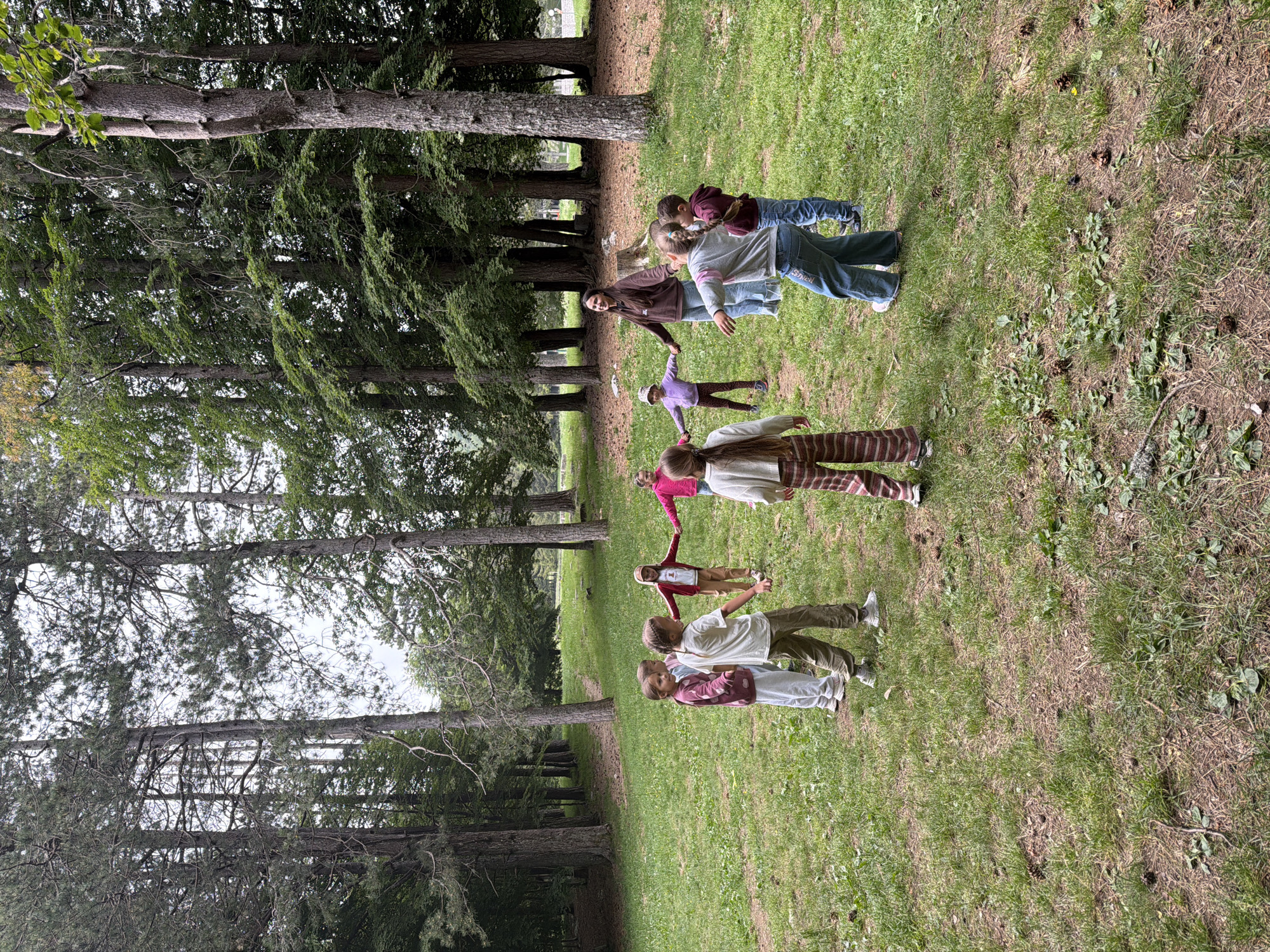 The image shows a group of children and adults engaged in an outdoor activity in a grassy field in Dolovi, Montenegro. Tall, slender evergreen trees line the background and sides of the open area, creating a natural and serene setting.
Approximately nine to ten individuals, mostly children, are scattered across the green lawn. Several people are seen holding hands, forming small chains or circles, suggesting a game or a structured group activity. Their body language indicates they are active and engaged in play or exercise, with some extending their arms as part of their movements. They are dressed in comfortable, casual attire, suitable for outdoor recreation.
The ground is predominantly covered in green grass, with some patches of earth and scattered natural debris like pine needles or small branches visible. The lighting is bright and even, characteristic of daytime, suggesting either an overcast sky or diffuse sunlight without harsh shadows. A path or opening is discernible deeper within the treeline in the background. The overall atmosphere appears joyful and peaceful, centered around a communal outdoor experience. No visible text is present in the image.