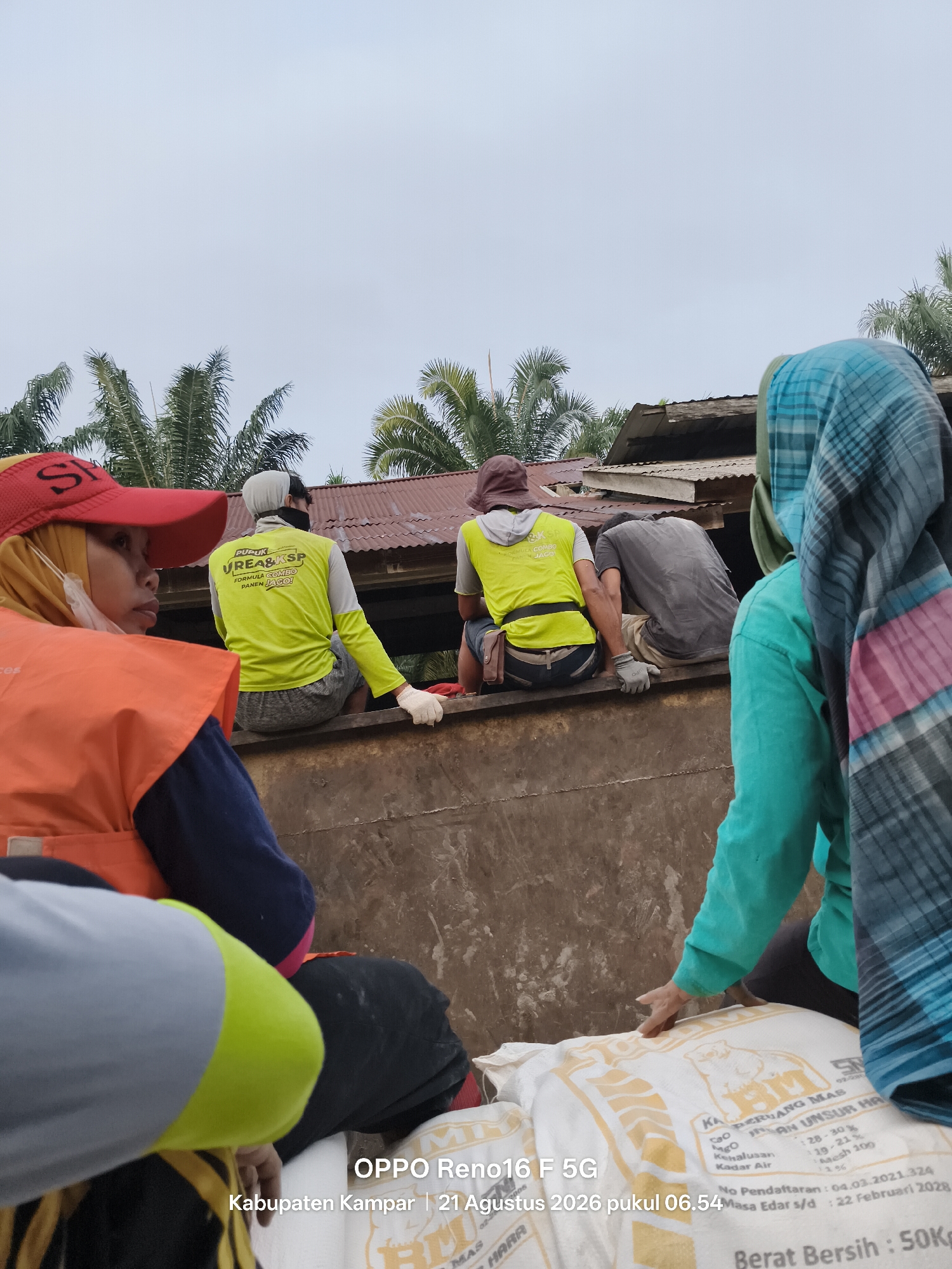 In Penghidupan, Indonesia, a group of individuals are situated in the bed of a truck, seemingly engaged in loading or unloading agricultural supplies. One person in the foreground, wearing a yellow hijab and an orange vest, looks to the left. To their right, another person, also in a yellow vest, is seated. Behind them, two more individuals are visible, one wearing a grey t-shirt and the other in a green shirt and a blue patterned head covering. The truck bed contains large sacks, some with visible text indicating they contain fertilizer. Palm trees and a corrugated metal roof are visible in the background, suggesting a rural or semi-rural setting. The sky is overcast, and the overall atmosphere appears utilitarian and focused on manual labor. A timestamp in the lower portion of the image reads "OPPO Reno16 F 5G Kabupaten Kampar | 21 Agustus 2026 pukul 06.54".