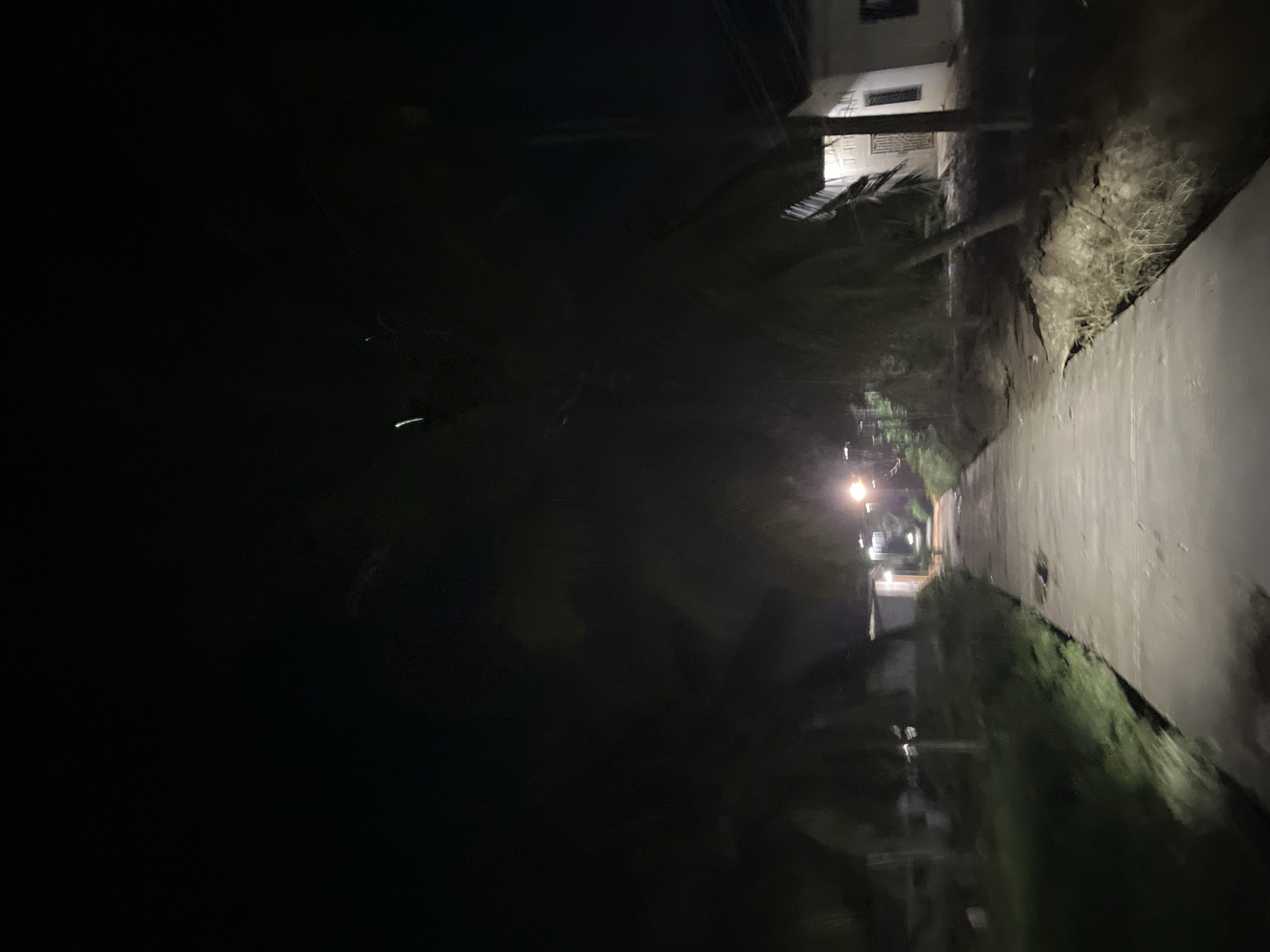The image depicts a nighttime scene on a paved pathway in Landuh, Indonesia. The pathway is illuminated by a few streetlights, casting long shadows and creating a somber atmosphere. Tall, slender palm trees line the path on both sides, their fronds obscuring parts of the sky and the surrounding environment. To the right of the pathway, a low-lying structure, possibly a residential house, is visible, with a single light emanating from an open doorway or window. The ground adjacent to the pathway appears to be uneven and overgrown with vegetation. The overall impression is one of a quiet, rural setting at night.