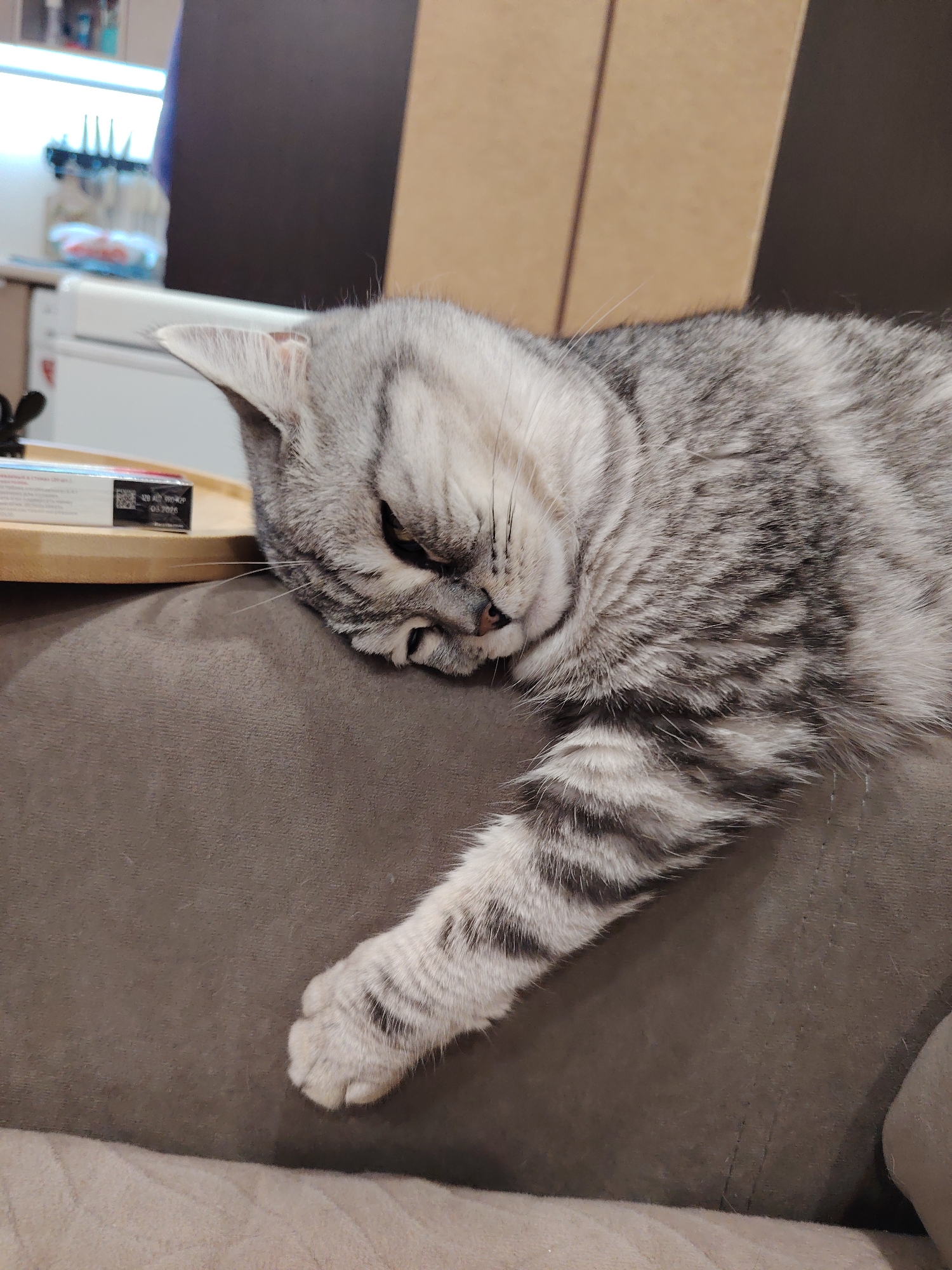 A silver tabby cat is sleeping on a brown couch. The cat is positioned with its head resting on its paw, and its body is stretched out along the couch. The cat's fur is grey with black stripes. In the background, there is a wooden surface with a box on it, and further back, a kitchen area with cabinets and appliances. The image is taken from a slightly high angle, looking down at the cat.