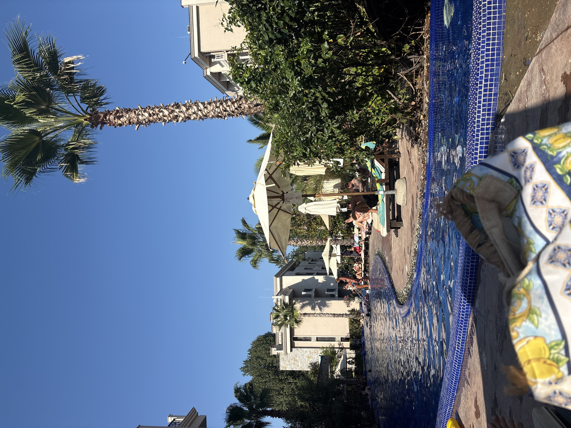 The image depicts a sunny day at an outdoor swimming pool, possibly at a resort or hotel. The pool itself is large and has a curved shape, lined with blue mosaic tiles. Several palm trees are visible throughout the scene, some tall and slender, others shorter and wider. In the background, there are multi-story buildings with light-colored facades, balconies, and windows. A number of people are present, some relaxing on lounge chairs under umbrellas by the poolside, while others are in or around the water. One individual is seated in the foreground, with a patterned bag and towel on their lap, obscuring part of the lower portion of the image. The environment appears to be a tropical or Mediterranean setting, characterized by the clear blue sky, lush greenery, and the presence of palm trees.