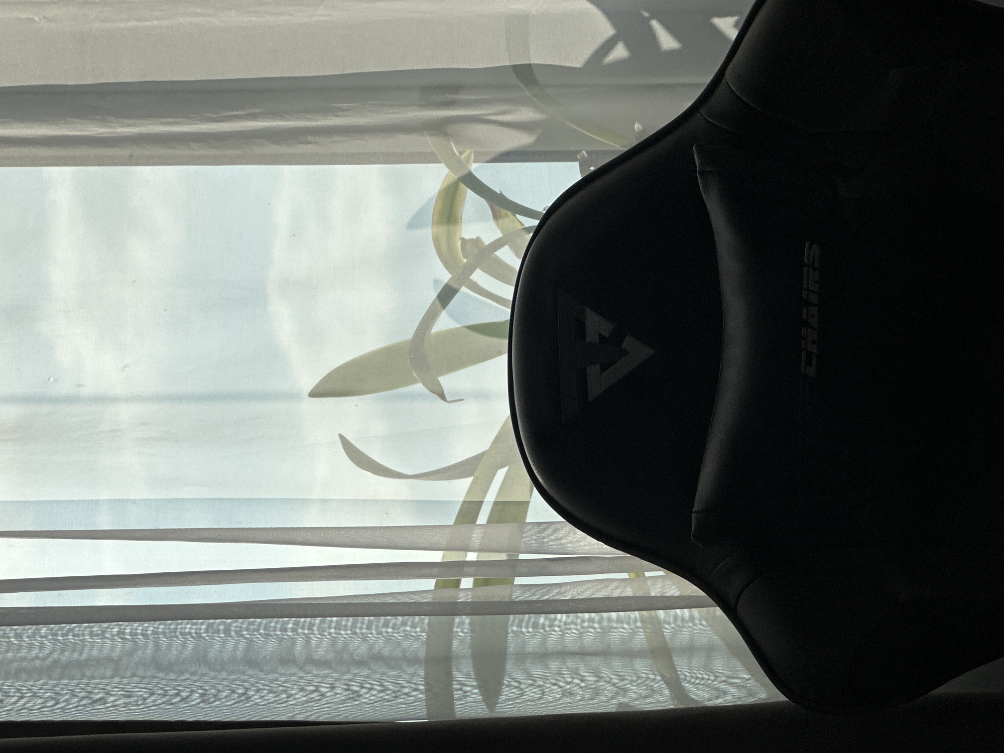 The image shows the back of a black gaming chair in silhouette, with a triangular logo on the headrest and the word "CHAIRS" embossed on the lumbar support. Behind the chair, sheer curtains are drawn, allowing diffused sunlight to filter through. Through the curtains, the faint silhouettes of plant leaves are visible, suggesting the presence of an indoor plant near a window. The background outside the window is bright, with hints of sky and clouds. The scene is indoors, with the light suggesting it is daytime. There are no people or animals visible in the image. The setting appears to be a room in a residential or office building. There is no information in the image to suggest a specific location in Birobidzhan, Russia.