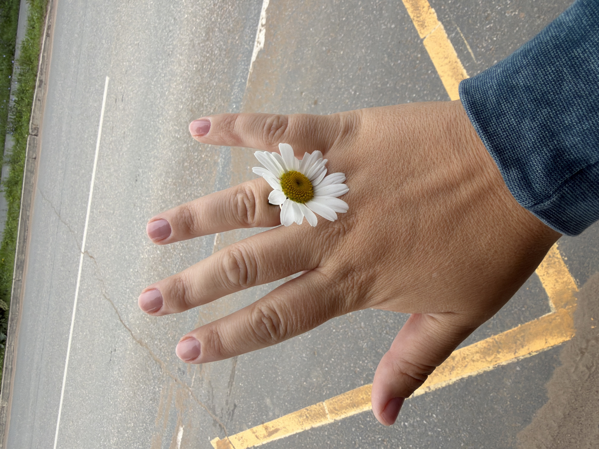 A close-up shot shows a person's hand, with neatly manicured nails painted a pale pink, resting on a paved surface. A white daisy with a yellow center has been placed on the ring finger, appearing as if it's a ring. The daisy is positioned between the second and third finger knuckles. The paved area has yellow markings, resembling a parking space or directional lines. The background features an asphalt road with a white line, and a strip of green grass and foliage along the roadside. The scene is likely outdoors. The presence of the daisy on the hand suggests a playful or artistic gesture. There is no information in the image to suggest the location in Chaikovsky, Russia.