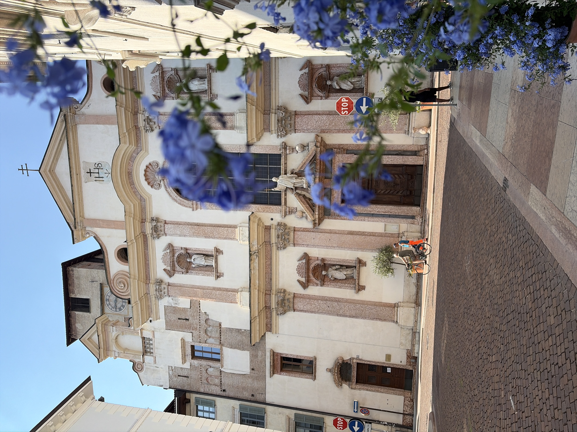 In Trento, Italy, on a sunny day, a church facade with a clock tower is prominently featured. Blue flowers in the foreground partially obscure the view of the building, which has ornate architectural details and statues in niches. In the middle ground, a person rides a bicycle on a cobblestone street. Traffic signs, including a stop sign and a directional arrow, are visible. The scene captures a moment of everyday life against the backdrop of historical architecture.