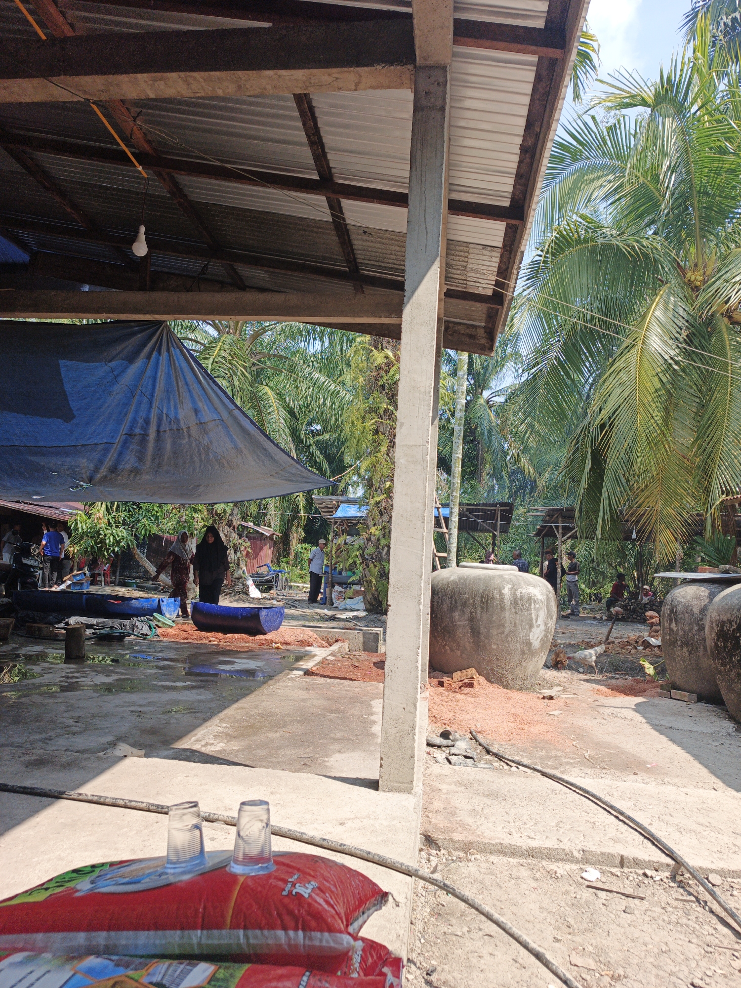 The image depicts an outdoor area, possibly a workshop or processing facility, in Pematang Duku, Indonesia. In the foreground, two clear plastic cups are placed on top of a red sack, likely containing rice. The ground is concrete, with some debris and a black cable running across it.
In the mid-ground, a large, light-colored cement pillar supports a corrugated metal roof structure. Partially visible under this roof is a large dark blue tarp stretched out. Several people are present, some standing, some seemingly engaged in work. Two women are walking under the tarp. Blue plastic containers or tubs are also visible on the ground.
Further back, two very large, gray, cylindrical jars dominate the scene. These appear to be traditional pottery or storage vessels. The background is filled with lush green palm trees, characteristic of a tropical environment. The sky is blue with some scattered clouds. There is evidence of construction or renovation, with piles of reddish material, possibly sand or brick dust, scattered around. A chicken can be seen wandering near the large jars. The overall impression is of a functional, open-air environment in a rural or semi-rural Indonesian setting.