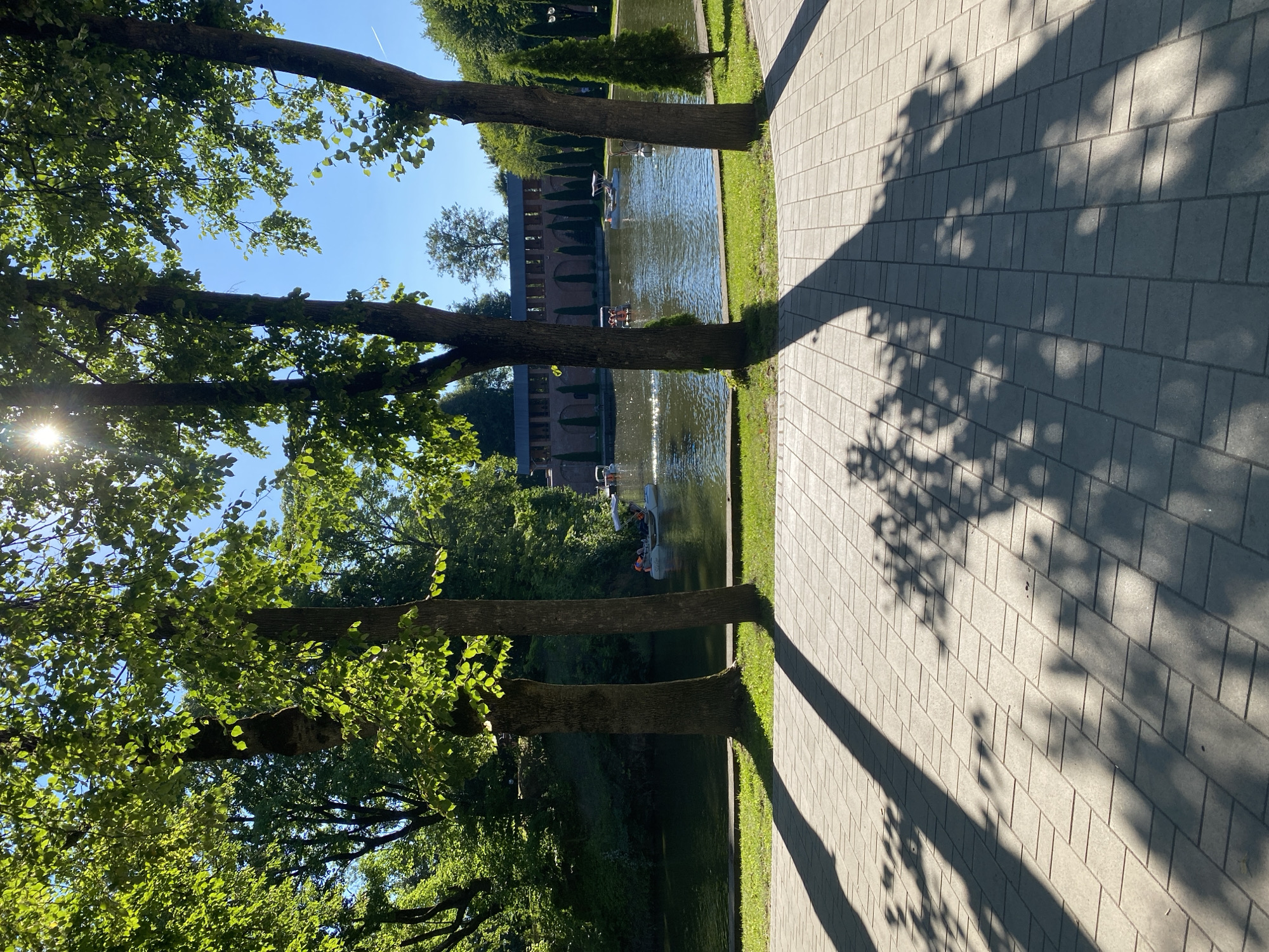 This is a medium shot, taken from a slightly low angle, of a park scene on a sunny day. In the foreground, a paved walkway is visible, with long, sharp shadows cast by trees across it. Three trees with thick trunks and lush green foliage are positioned in the middle ground, framing a body of water. The water is calm and reflects the sunlight. Several pedal boats are on the water, with people visible in some of them, wearing orange life vests. In the background, a long, brick building with arched windows runs along the edge of the water, with a line of tall, thin evergreen trees in front of it. The sky is a clear, bright blue.