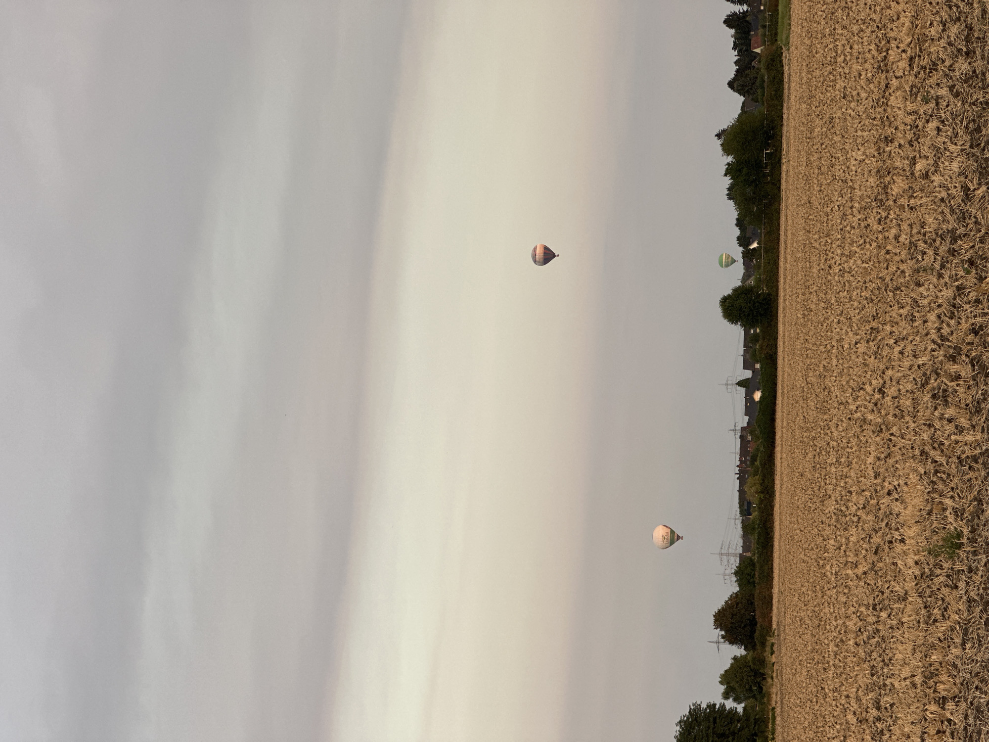 In the city of Hürth, Germany, a wide shot captures a rural landscape with a harvested field in the foreground. The field is composed of dry, stubbly plants, indicating recent agricultural activity. A line of trees and houses forms the horizon, punctuated by power lines and utility poles. The sky above is overcast, with soft, diffused light suggesting either early morning or late afternoon. Three hot air balloons are visible in the sky, each at a different distance and altitude. One balloon, closer to the left, is predominantly white with some color accents. Another, further to the right, is striped with muted colors. A third balloon, the smallest in view, is green and white. The overall scene is serene and evokes a sense of open space and quiet observation.
