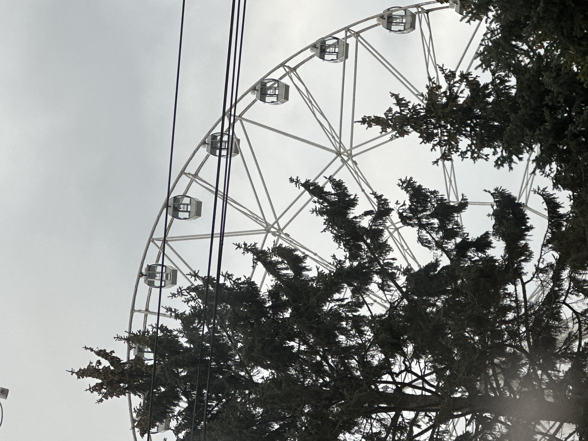 The image depicts a partial view of a Ferris wheel against a cloudy sky, partially obscured by the branches of a tree. The Ferris wheel has white framework and enclosed gondolas. There are several dark wires running vertically in front of the Ferris wheel. The photograph was taken in Rostov-on-Don, Russia.