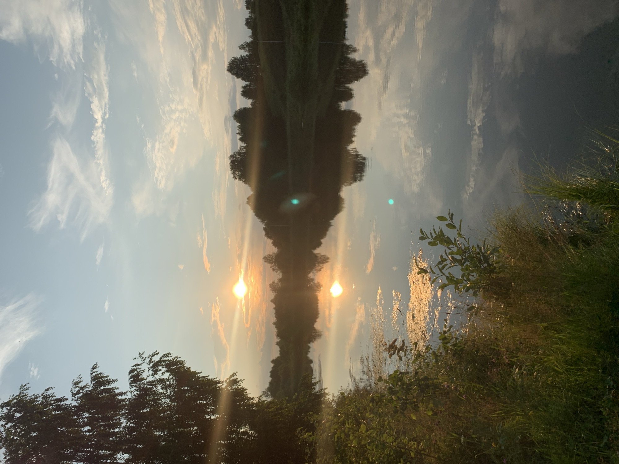 The image depicts a serene natural landscape at sunset, likely near Zasechnyi, Russia, given the context provided. The sun, a bright orb of golden light, is partially obscured by wispy clouds, casting a warm glow across the sky and reflecting vibrantly on the surface of a calm body of water. Trees line the opposite bank, their dark silhouettes contrasting with the illuminated sky. The foreground features lush green vegetation and tall grasses growing along the water's edge, with some patches of algae or aquatic plants visible on the water's surface. The overall atmosphere is peaceful and tranquil, characteristic of a rural or natural setting at dusk.