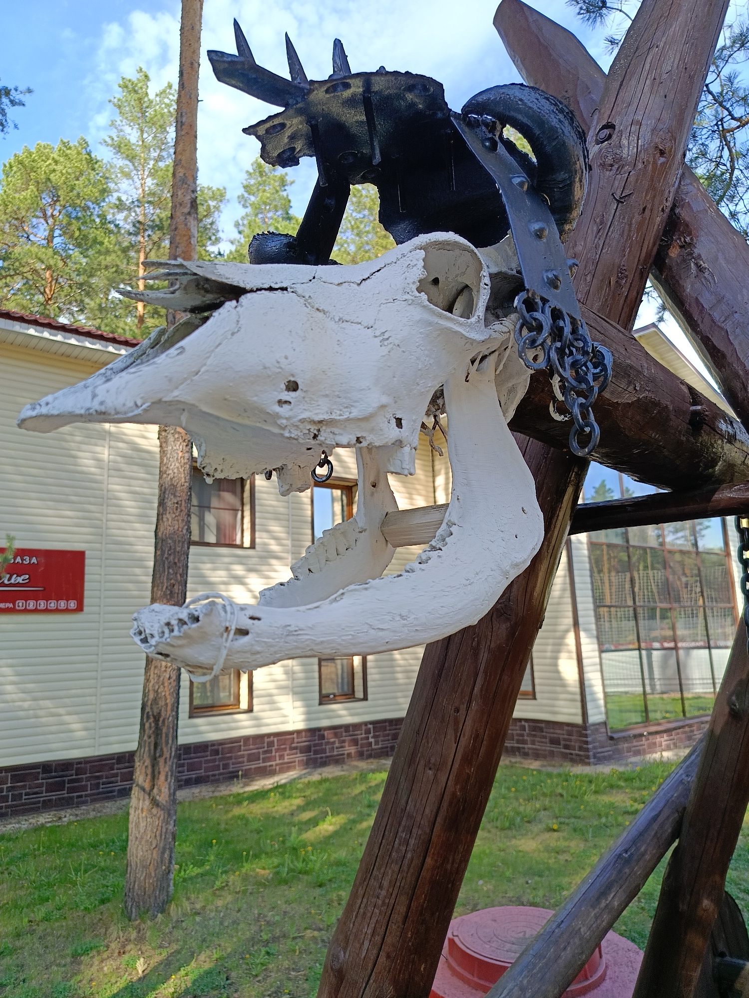 The image shows a large, white, animal skull hanging from a wooden frame structure in an outdoor setting. Atop the skull is a dark metal sculpture of a ram-like creature with large horns. A chain hangs from the wooden structure near the skull. The scene appears to be in a park-like area, as there are trees and green grass visible. In the background, there is a beige-colored building with windows and a red sign. The building is identified as a recreation center, "Baza Otdikha Ul'e," in Chaykovsky, Russia.