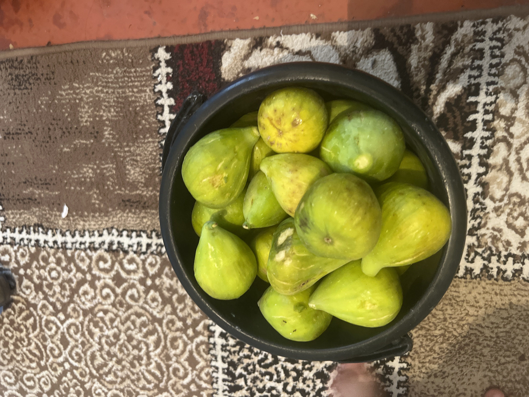 A black bucket filled with ripe green figs sits on a rug with a patterned design. The rug is predominantly brown with lighter brown and white accents. To the right of the rug is a reddish-orange floor, likely concrete or tile. A hand, partially visible at the left edge of the image, appears to be holding the bucket. The lighting is moderate, casting soft shadows. The scene is set in a domestic environment, likely within a home in Şamaldı-Say, Kyrgyzstan.