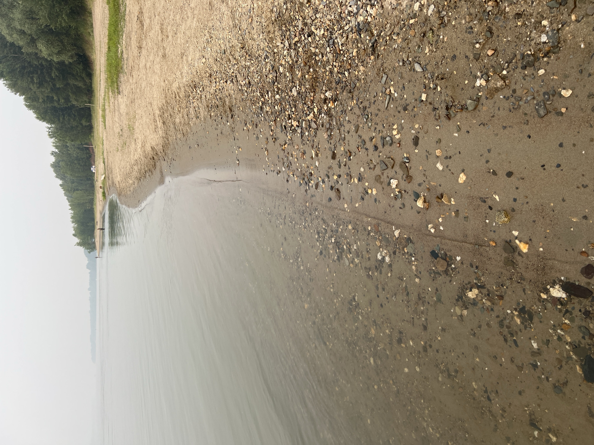 The image depicts a natural scene along the shore of a body of water, likely a river or lake, with a sandy and pebbly beach. In the distance, along the tree line, there are a few small figures of people, some appearing to be standing near the water's edge, possibly fishing or wading. There is also a light-colored vehicle visible further down the beach, suggesting a recreational area. The water is calm and appears somewhat murky, with visible pebbles and sand on the shallow bottom near the shore. The overall atmosphere is muted, possibly due to overcast skies or haze. The location is identified as Mochishche, Russia.