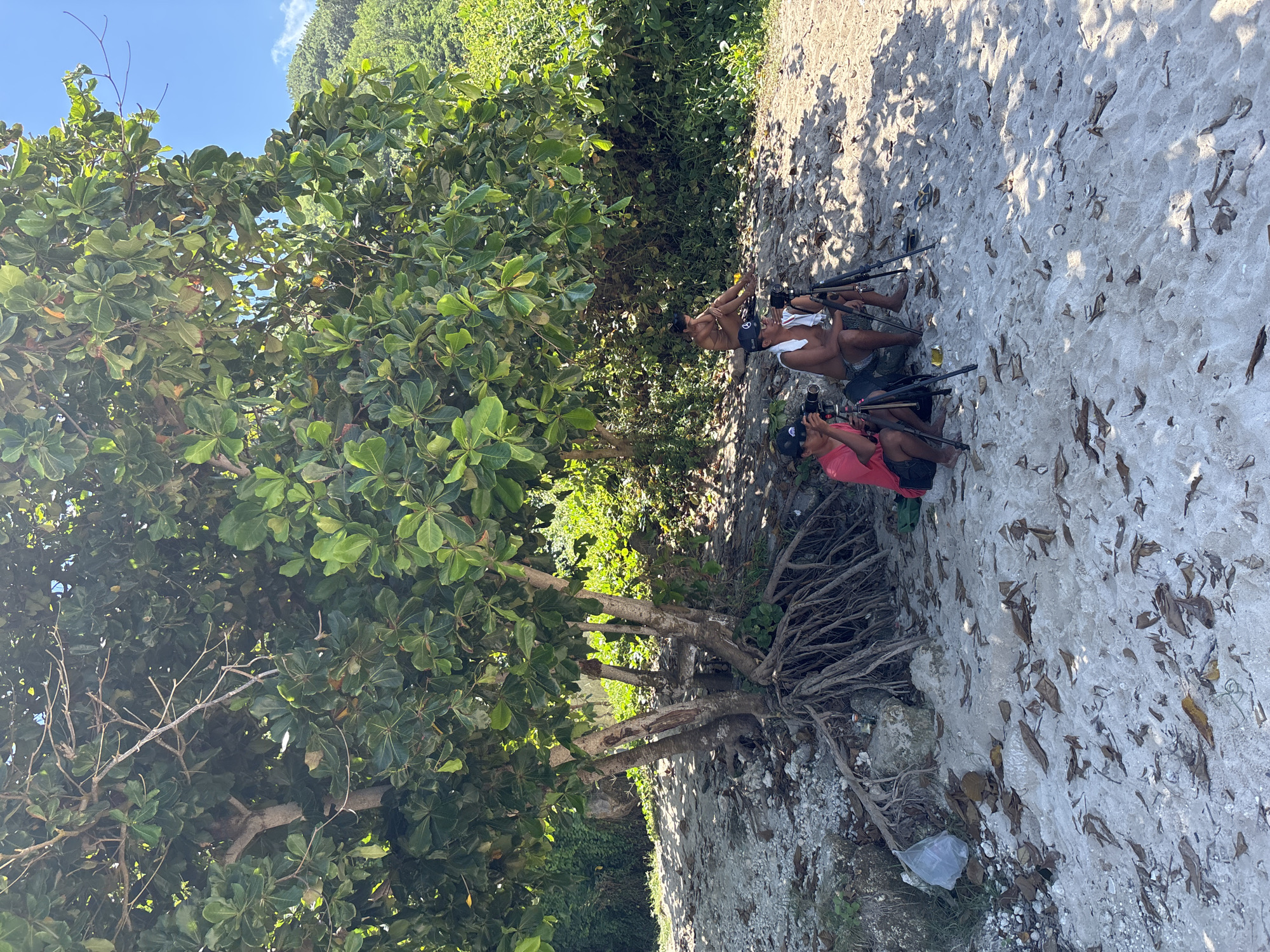 Two people are lying prone on the sand with cameras on tripods, pointing toward an unseen subject. One individual is wearing a red shirt and a black cap. The other individual is bare-chested, wearing dark-colored shorts and a white towel draped around the neck. A large tree with dense foliage dominates the left side of the frame, casting shadows on the ground. Another person, wearing tan-colored swimwear, sits by the prone people. The ground consists of sand, rocks, scattered leaves, and some litter, including a plastic bag. The environment suggests an outdoor location in Kutuh, Indonesia.