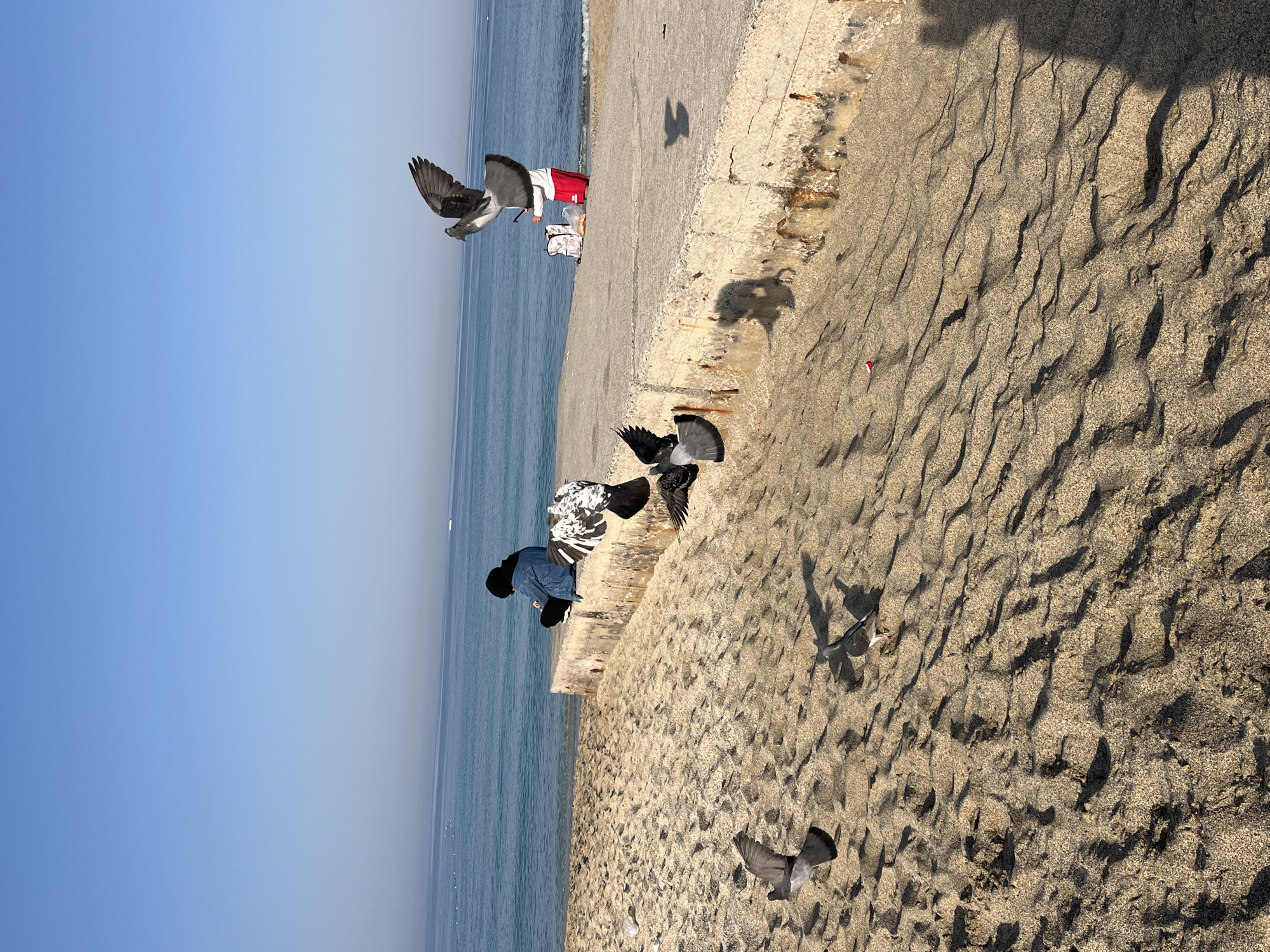 A scene near the waterfront in Alanya, Turkey, shows a person feeding pigeons. The person, dressed in dark clothing and a blue jacket, crouches near a low concrete wall separating a sandy area from the sea. Several pigeons are in flight and on the ground, some near the person and others scattered on the sand. The background consists of a calm, light-blue sea and a clear sky. A red object and a white bag are on the wall near the person.