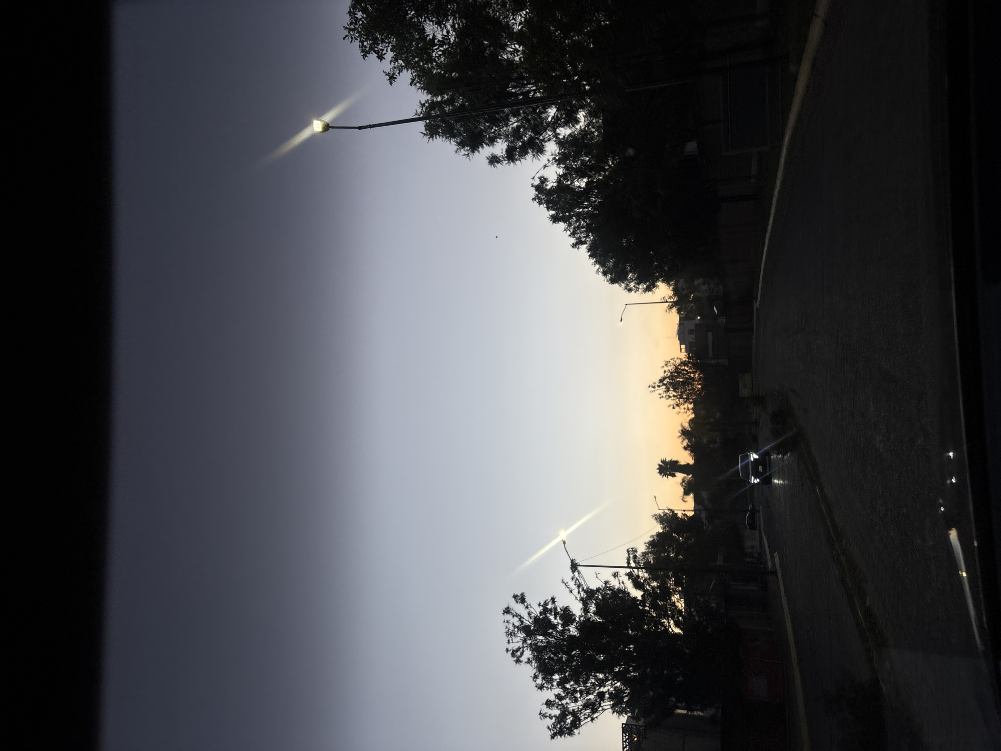A vertically oriented photograph captures a street scene at twilight, likely in San Bernardino Tlaxcalancingo, Mexico. The sky transitions from a deep grey-blue on the left side of the image to a warm orange-yellow on the right, suggesting either sunrise or sunset.
Two streetlights are visible, glowing brightly. One is prominent in the upper-left quadrant, emitting a strong, flared light. Another, smaller streetlight is illuminated further towards the upper-right. Silhouetted trees with dense canopies line the upper and lower edges of the frame, their dark forms contrasting against the lighter sky.
A dark, wet-looking asphalt road curves through the lower and right portions of the image. Two cars are present on the road; one is clearly visible in the mid-right with its headlights on, while a second, less distinct vehicle trails behind it. Dark, ambiguous structures, possibly buildings or walls, run parallel to the road on the right side.
The photo appears to be taken from inside a vehicle, evidenced by a dark, blurred vertical bar on the far left edge and slight reflections on the right. The wet road surface, combined with the twilight sky and artificial lights, creates a calm and atmospheric mood. No text is visible in the image.