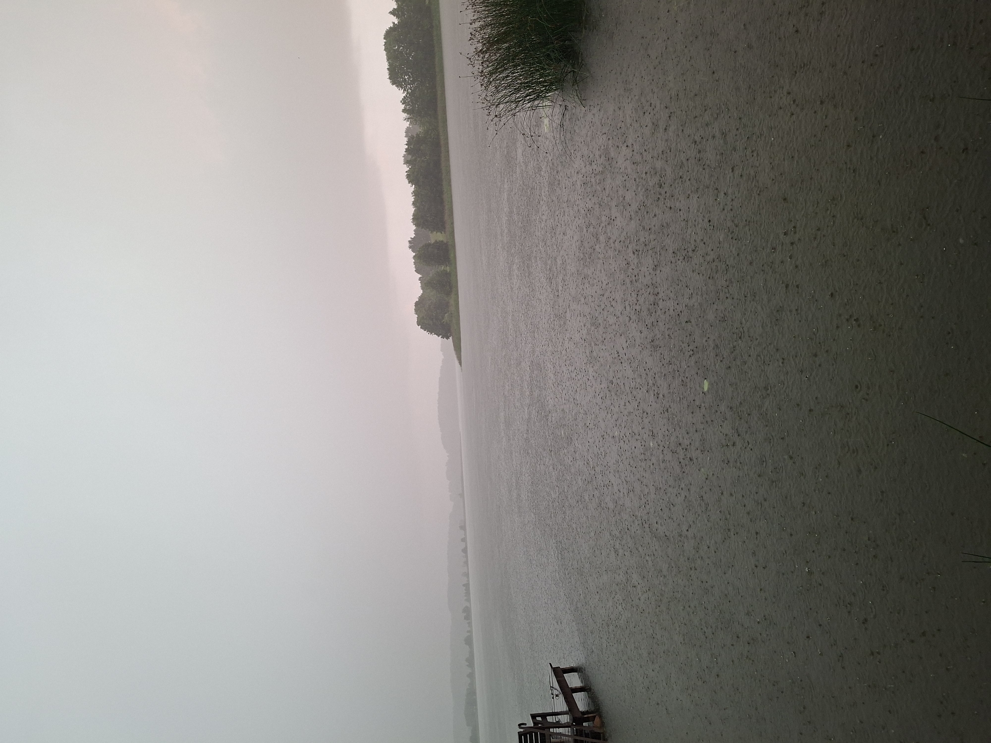 The image depicts a somber, overcast scene of a lake during a rain shower in Слабодкаўскі сельскі Савет, Belarus. The sky is a uniform, pale gray, hinting at a heavy cloud cover. The lake's surface is disturbed by numerous raindrops, creating a speckled texture across the dark water. In the foreground to the left, a wooden pier or dock with a bench is partially visible, its structure weathered and dark. Along the right edge of the lake, tall reeds or marsh grass grows in a dense clump. The far shore of the lake is lined with a distant, hazy treeline, suggesting a rural or natural setting. The overall atmosphere is one of quiet melancholy, with the rain creating a sense of isolation and subdued natural beauty. There are no people or animals visible in the frame.
