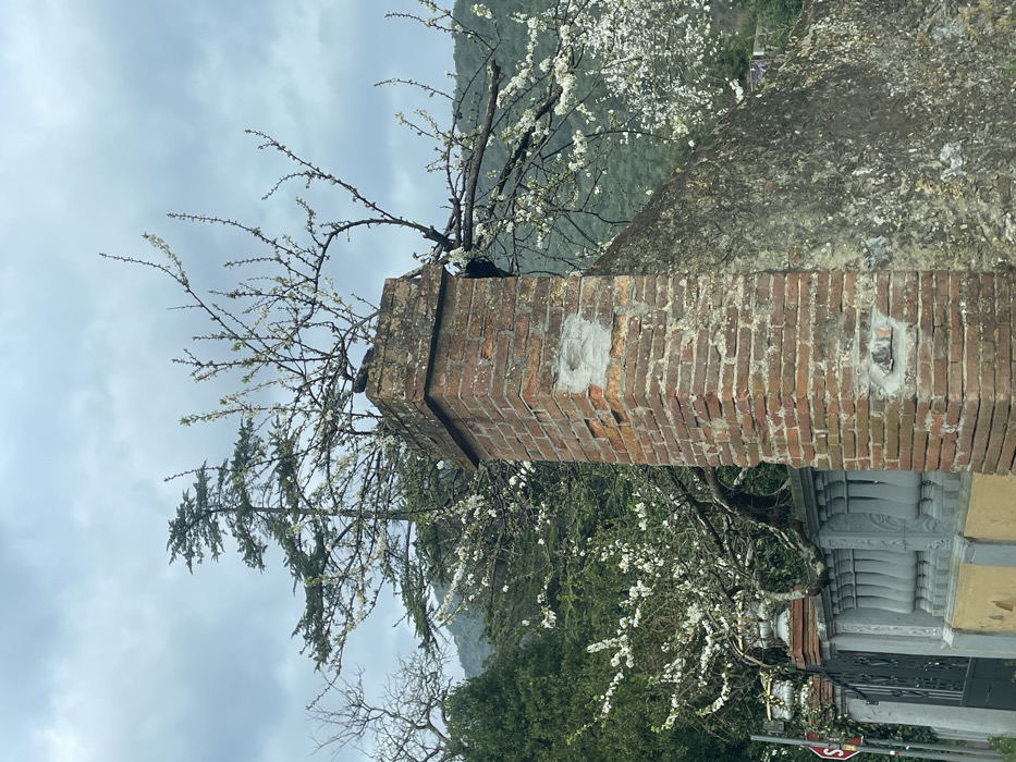 The image depicts a static outdoor scene in Monsummano Terme, Italy, under an overcast sky. A prominent, weathered brick pillar stands on the left side of the frame, constructed from red bricks with visible mortar deterioration and several lighter grey patches indicating repairs. The pillar is capped with a similar brick structure. To its immediate left, a grey balustrade-style wall or fence is visible, topped with two decorative white urns. A dark metal gate is partially seen behind the balustrade, and a circular red "STOP" sign is partially visible on the far left. To the right of the brick pillar, a robust, dark, textured stone wall rises.
Behind these structures, a tree with numerous branches covered in white blossoms extends across the upper and middle portions of the image, appearing to grow in close proximity to or over the brick pillar and stone wall. A taller, coniferous evergreen tree is visible further back, its dark green foliage contrasting with the lighter blossoms. In the background, green, tree-covered hills rise under the grey, cloudy sky. There are no people, explicit actions, or direct interactions depicted in the scene.