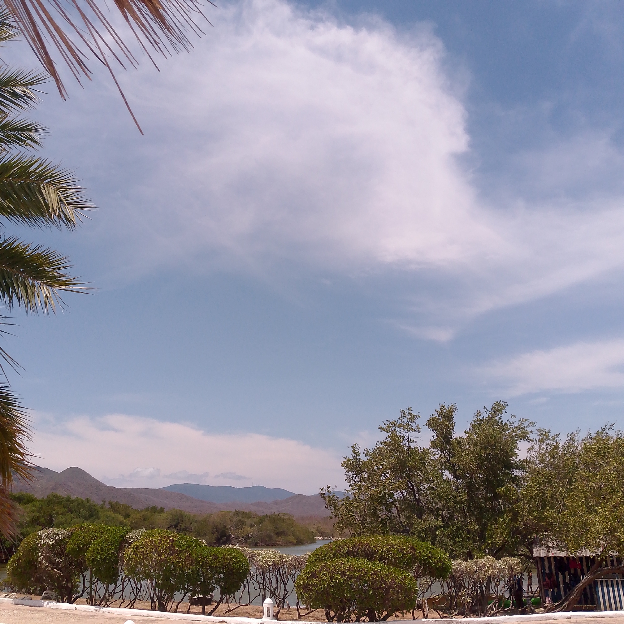 This image captures a serene landscape in Pedro González, Venezuela, on a bright, partly cloudy day. The expansive blue sky dominates the upper portion of the frame, featuring scattered white clouds, some wispy and others more voluminous. Palm fronds frame the top and bottom left corners of the composition.
A low white wall runs across the foreground, behind which a line of neatly trimmed green shrubs stretches horizontally. Beyond these shrubs, a narrow body of water, likely a river or lagoon, is visible, reflecting the ambient light. The water's edge is densely lined with various trees and bushes; some are verdant green, while others, closer to the water, display exposed roots or bare trunks.
In the mid-ground, a thick band of green foliage and trees separates the foreground from the distant, undulating mountains. These mountains appear arid with brownish-green vegetation. On the far right, partially hidden by trees, stands a small, open-sided structure or shack characterized by distinctive blue and white vertical stripes. Several indistinct human figures are visible near and within this striped structure, suggesting it might be a small concession stand, a resting area, or a base for activities. Green objects, possibly kayaks or small boats, are discernible near the water's edge in front of the structure. A white, decorative lantern-like object rests on the white wall in the foreground.
The scene conveys a peaceful outdoor atmosphere, suggesting a recreational or natural area under pleasant weather conditions. No visible text is present in the image.