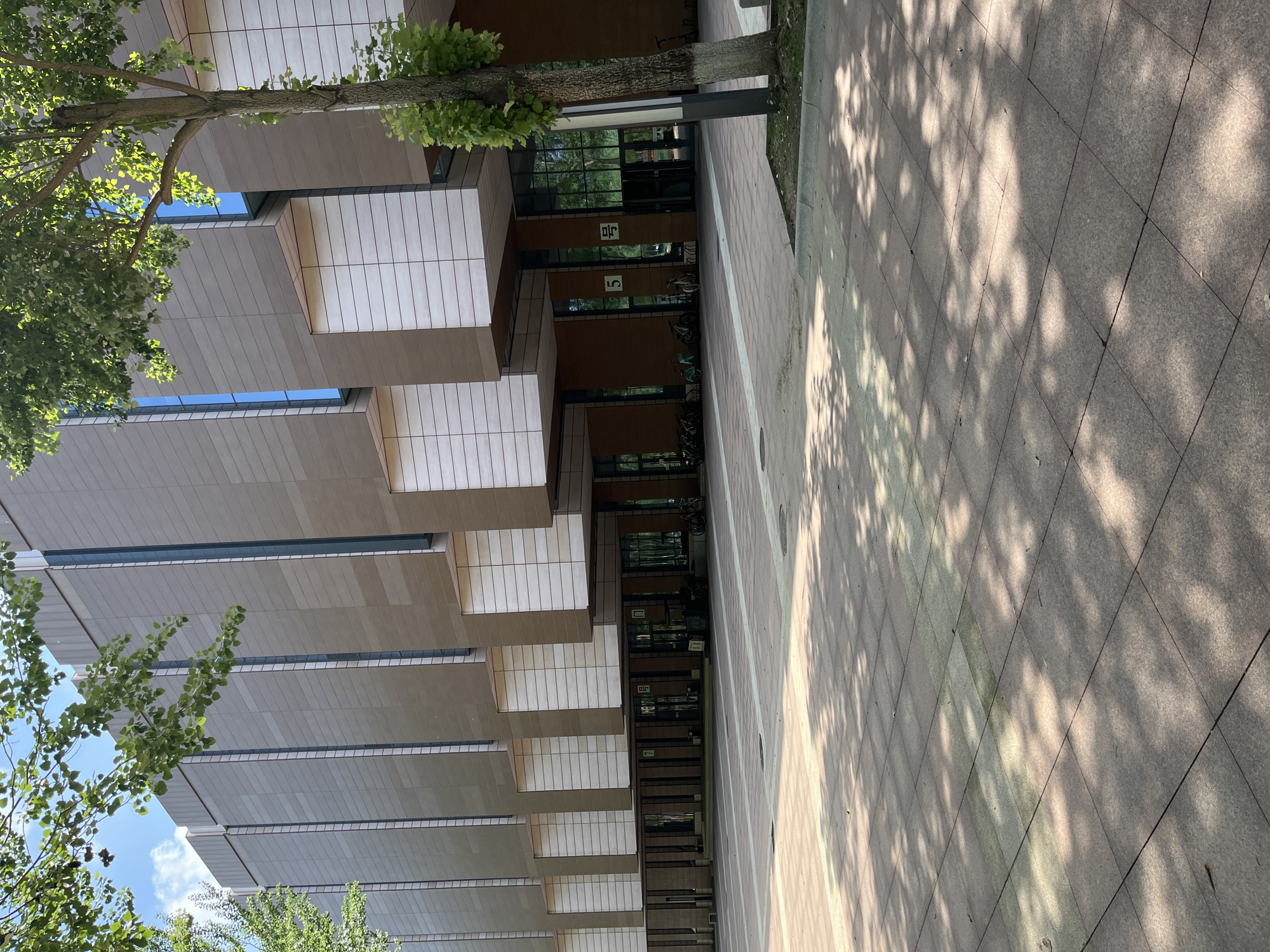 The image shows the exterior of a modern building in Changchun City, China, likely a university campus, with a wide paved plaza in front. The building features a facade of taupe-colored rectangular panels interspersed with vertical glass windows. Protruding from the upper floors are white, cube-like structures. The ground floor has a covered walkway with multiple glass entrances. Bicycles are parked in front of some of the entrances. A single tree with green leaves stands to the right of the image, its branches casting dappled shadows on the paved plaza, which is laid with square tiles. The sky is blue with scattered white clouds. The scene is devoid of any visible people or activity, creating a sense of stillness.