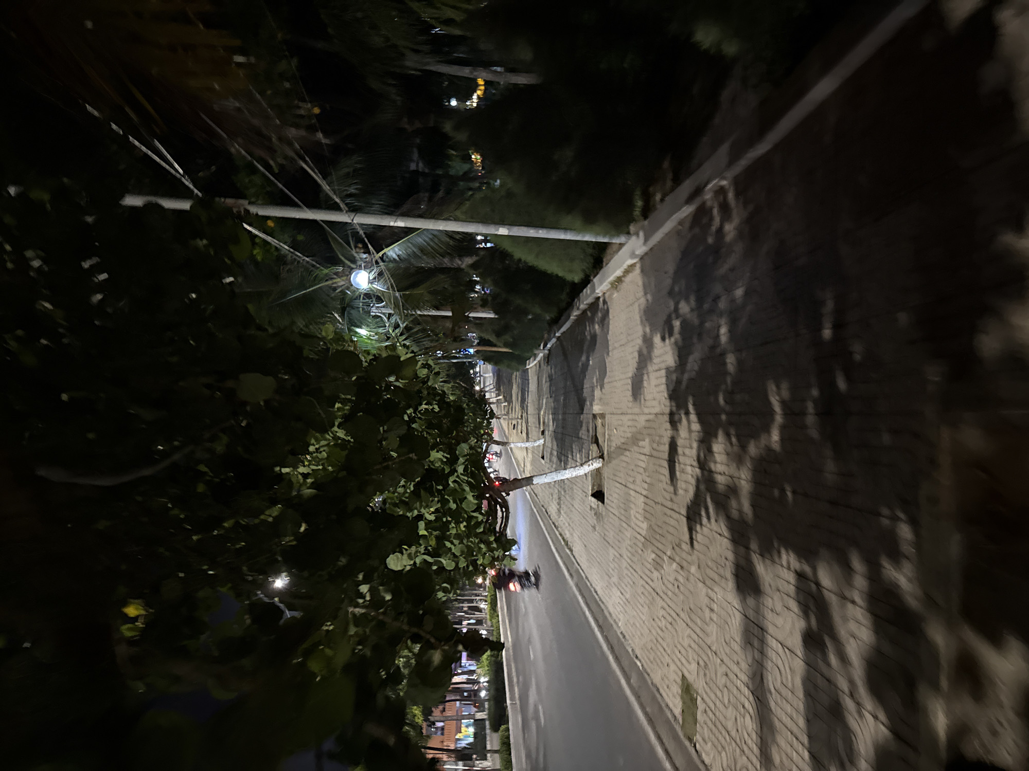This is a nighttime, eye-level, medium shot of a tree-lined sidewalk alongside a street in Nha Trang, Vietnam. The sidewalk is paved with textured rectangular tiles. Several trees with white-painted trunks line the sidewalk, casting shadows across the pavement. Beyond the sidewalk, a street is visible with a single motorcycle rider in motion. Further down the street, lights from buildings suggest an urban environment. The background is filled with dark foliage, including palm trees, and a street lamp with a round globe. The overall scene is dimly lit by artificial lights.