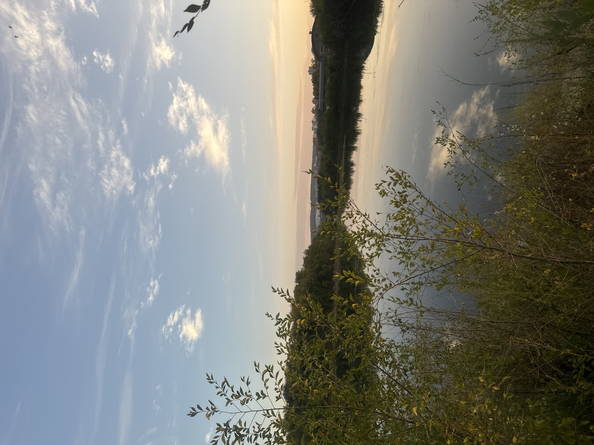 The image depicts a tranquil natural scene at dusk, likely near the Irkutsk Reservoir in Irkutsk, Russia. In the foreground, lush green foliage, with some leaves showing yellow tinges, frames the composition. The branches of trees and bushes extend into the frame, partially obscuring the view of the water.
The middle ground is dominated by a calm body of water, reflecting the soft hues of the sunset and the sky. The surface of the water is still, creating a mirror-like effect that captures the reflections of the sky, clouds, and the distant treeline.
The background reveals a low-lying, treed shoreline, with buildings and structures faintly visible on the horizon, suggesting the presence of a settlement or the edge of the city. The sky above is a gentle gradient of pale blue, transitioning to warmer tones of orange and pink near the horizon, indicative of sunset. Wispy clouds are scattered across the sky, some catching the last rays of sunlight. Two small birds are silhouetted against the sky in the upper right quadrant of the image. The overall atmosphere is serene and peaceful, characteristic of a quiet evening in a natural setting near an urban area.