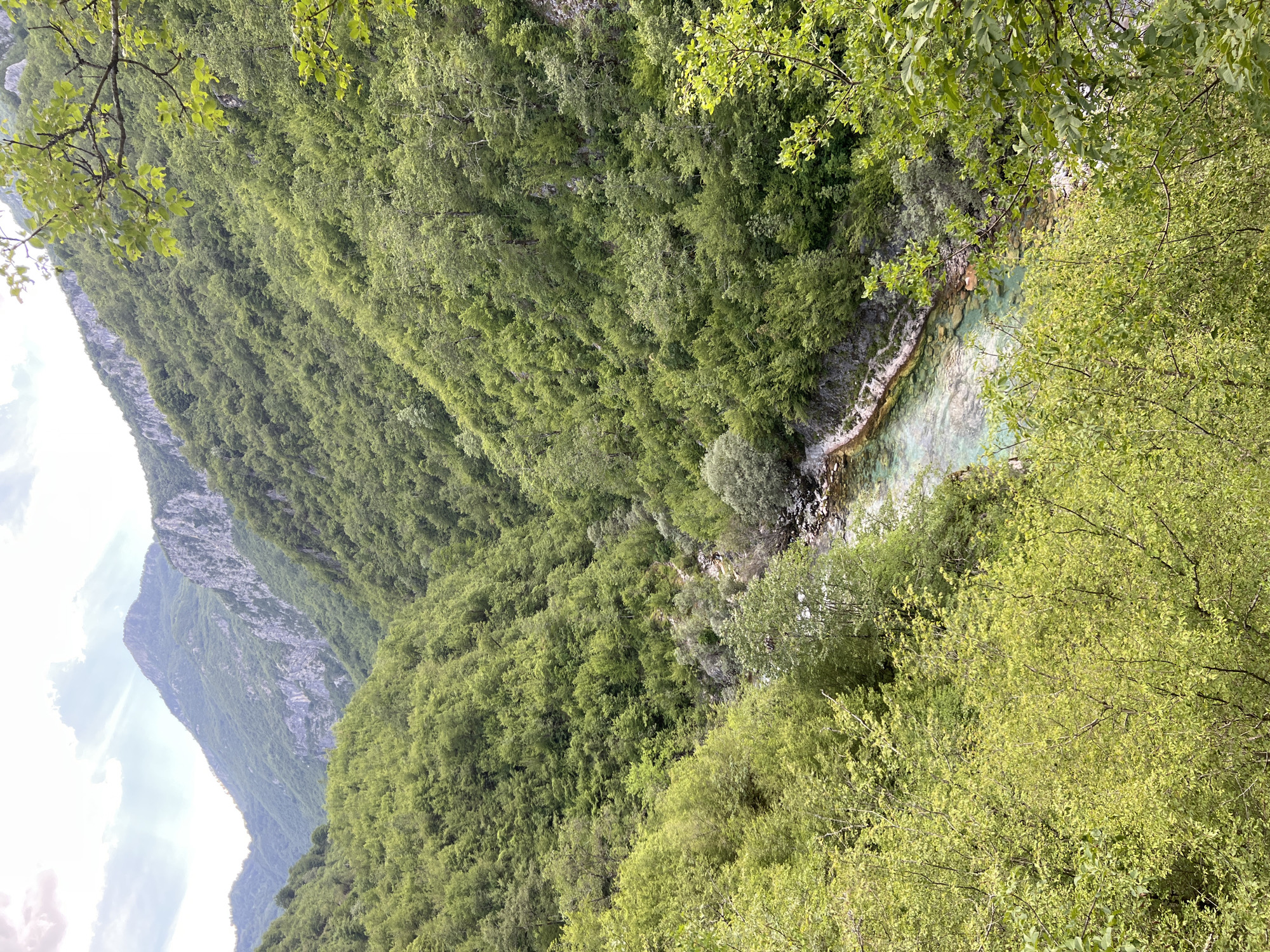 An aerial view shows a narrow, rocky river, likely the Tara River, winding through a forested mountain valley in Međuriječje, Montenegro. The lush, green forest covers the steep hillsides on both sides of the river. A high mountain peak is visible in the distance on the left. The sky is overcast.