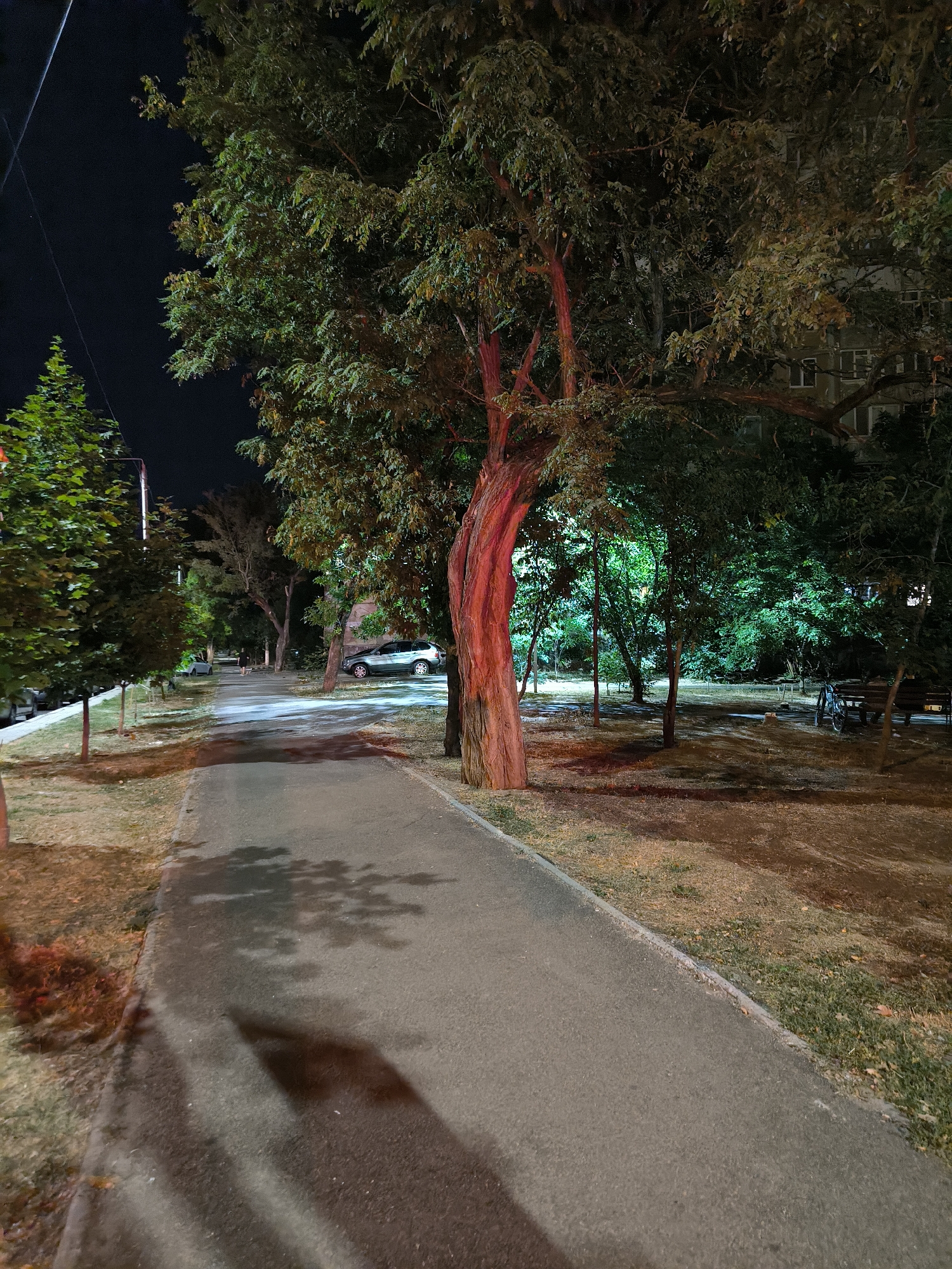 The image depicts a paved pathway in a park-like setting at night, possibly in Mykolaiv, Ukraine, given the context. The pathway curves to the right and is flanked by grassy areas and trees. A prominent, thick tree with reddish-hued bark stands on the right side of the path, its trunk illuminated by a warm light. Further down the path, more trees are visible, some illuminated with a green light, creating a dappled effect on the ground. In the background, a building with windows can be seen through the trees. A silver car is parked on the right side of the path, and other vehicles are partially visible further down. A person is walking on the path in the distance, and a bicycle is leaning against a bench in the background. The sky is dark, indicating nighttime.