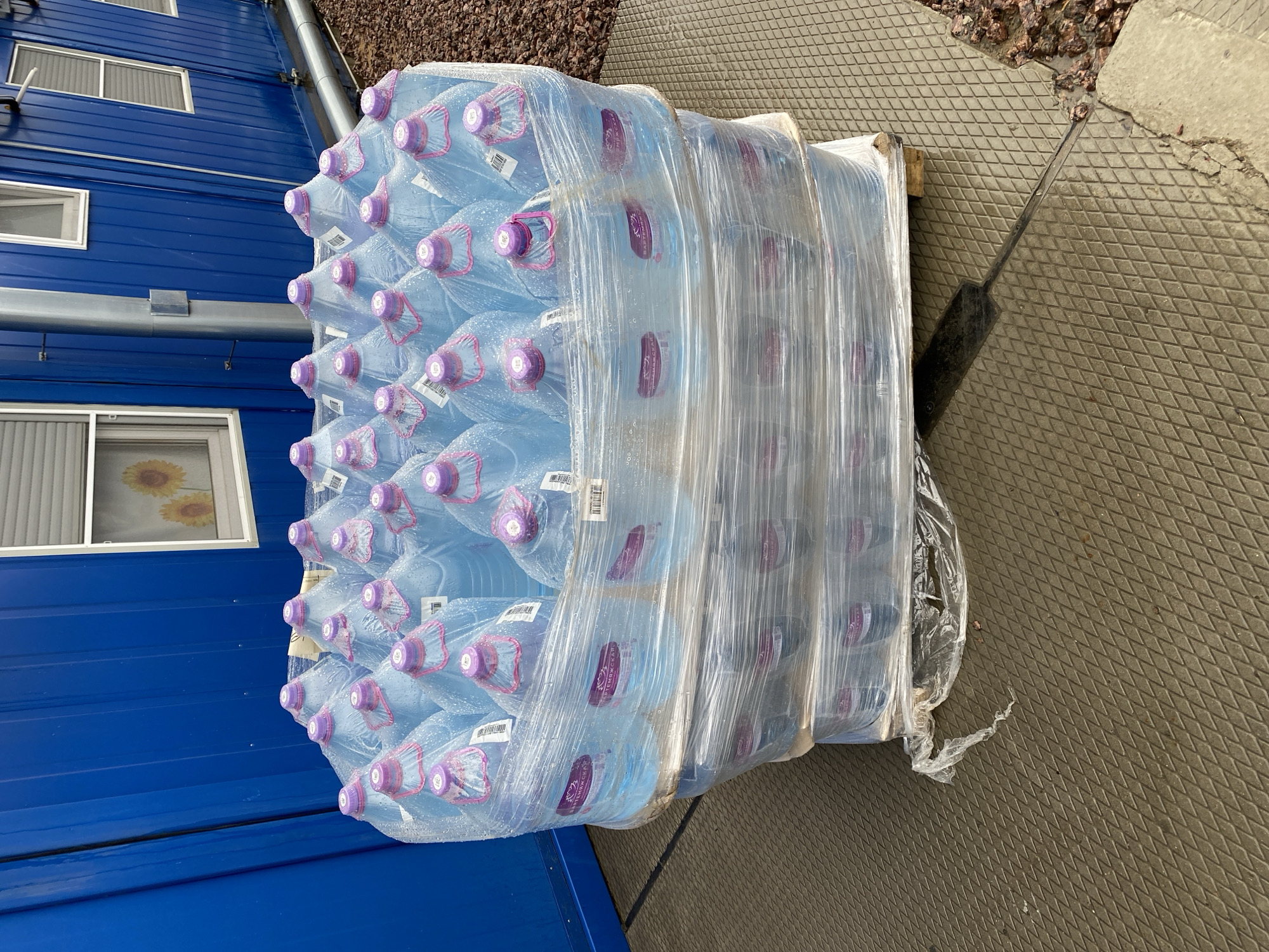 A pallet of large water bottles, wrapped in clear plastic, sits on a diamond-patterned, dark gray surface. The water bottles are clear with purple caps and labels. To the left of the pallet is a blue building with white-framed windows, one of which has a picture of sunflowers visible inside. Gravel is visible behind the pallet. To the right of the pallet is a gray concrete surface with cracks and some debris. A long-handled tool, possibly a broom or mop, lies near the pallet on the concrete surface. The location is Koskolovo, Russia.