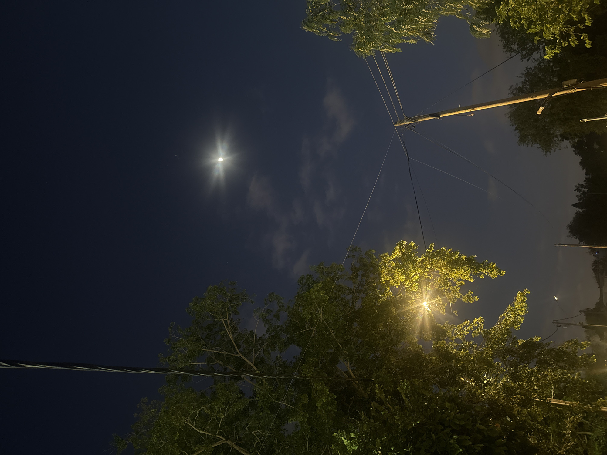 The image depicts a night scene, likely in a residential area of Herzliya, Israel, characterized by a dark, clear sky. A crescent moon is visible, illuminated by the sun and casting a bright glow. A bright street light illuminates the foliage of trees on the left side of the frame, casting yellow light on the leaves and branches. On the right, another tree with lighter green leaves is visible. Power lines and poles are prominent features, with one wooden pole extending vertically near the center of the image, supporting multiple wires. In the distance, faint lights suggest other buildings or street lamps. The ground is not clearly visible, but the overall impression is that of a suburban street at night, with natural elements like trees and celestial bodies coexisting with urban infrastructure. There are no people or animals visible in the frame.