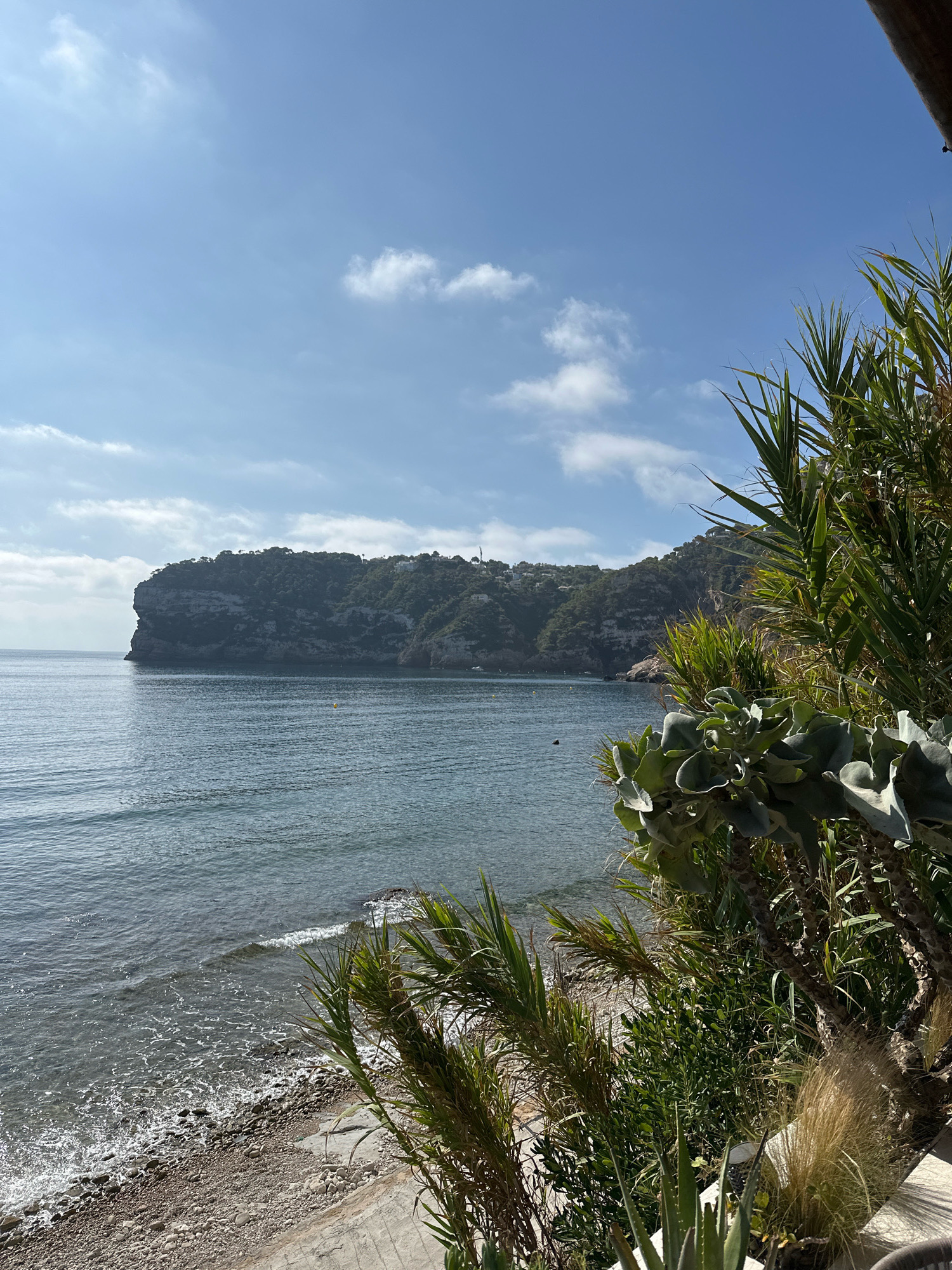 A sunlit view of a rocky coastline and the Mediterranean Sea is captured in this image, likely taken in Xàbia/Jávea, Spain. In the foreground, lush green foliage and plants, including what appears to be an aloe vera plant and palm fronds, frame the scene on the right. Beyond the foliage, a textured, greyish-brown pebble beach slopes down to the water's edge. The sea is a calm, deep blue, with gentle waves lapping against the shore. In the distance, a large, verdant cliff juts out into the sea, its slopes covered in trees. The sky above is a clear, bright blue with a few wispy white clouds. The overall impression is one of a serene coastal landscape bathed in natural light.