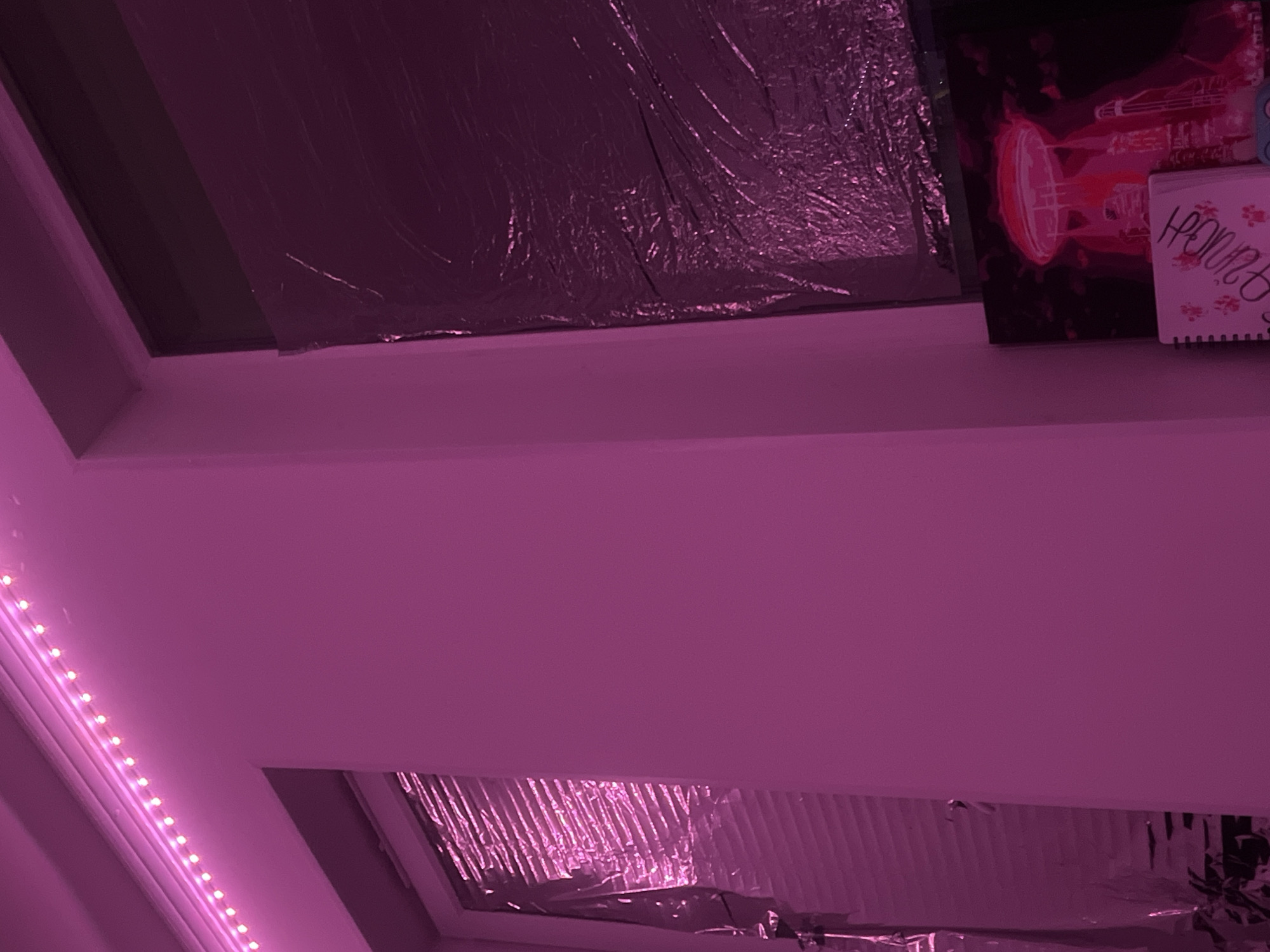 The image shows a portion of a room with an artificial light source giving off a strong pink or purple hue. Parts of two window frames are visible with reflective material covering the window panes. LED lights are seen along the left edge of the image. To the upper right is artwork or a poster, and a small notebook or notepad. The location is unknown, but no evidence indicates it being in St. Petersburg, Russia.