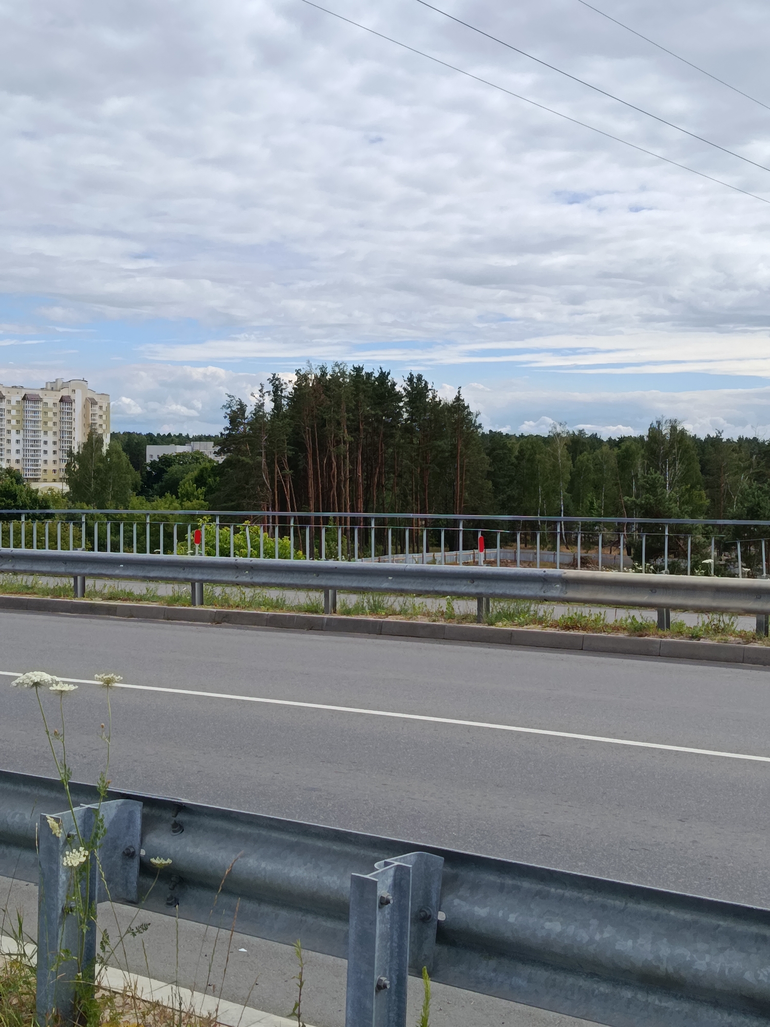 The image captures a roadside view in Svietlahorsk, Belarus. In the foreground, a paved road with a white line marking its lane runs horizontally across the frame. A metal guardrail runs along the side of the road, with several posts supporting it. Some vegetation, including a few white wildflowers and tall grasses, grows on the embankment next to the guardrail.
In the middle ground, a bridge or overpass is visible, with a similar metal guardrail. Beyond the guardrail, a dense forest of pine and deciduous trees stretches across the landscape.
In the background, on the left side of the image, a multi-story apartment building with a beige facade and numerous windows stands tall. Further back, other smaller buildings and more trees are discernible. The sky above is filled with a mix of white and gray clouds, with patches of blue sky visible. The scene appears to be an urban or suburban environment adjacent to a natural wooded area.