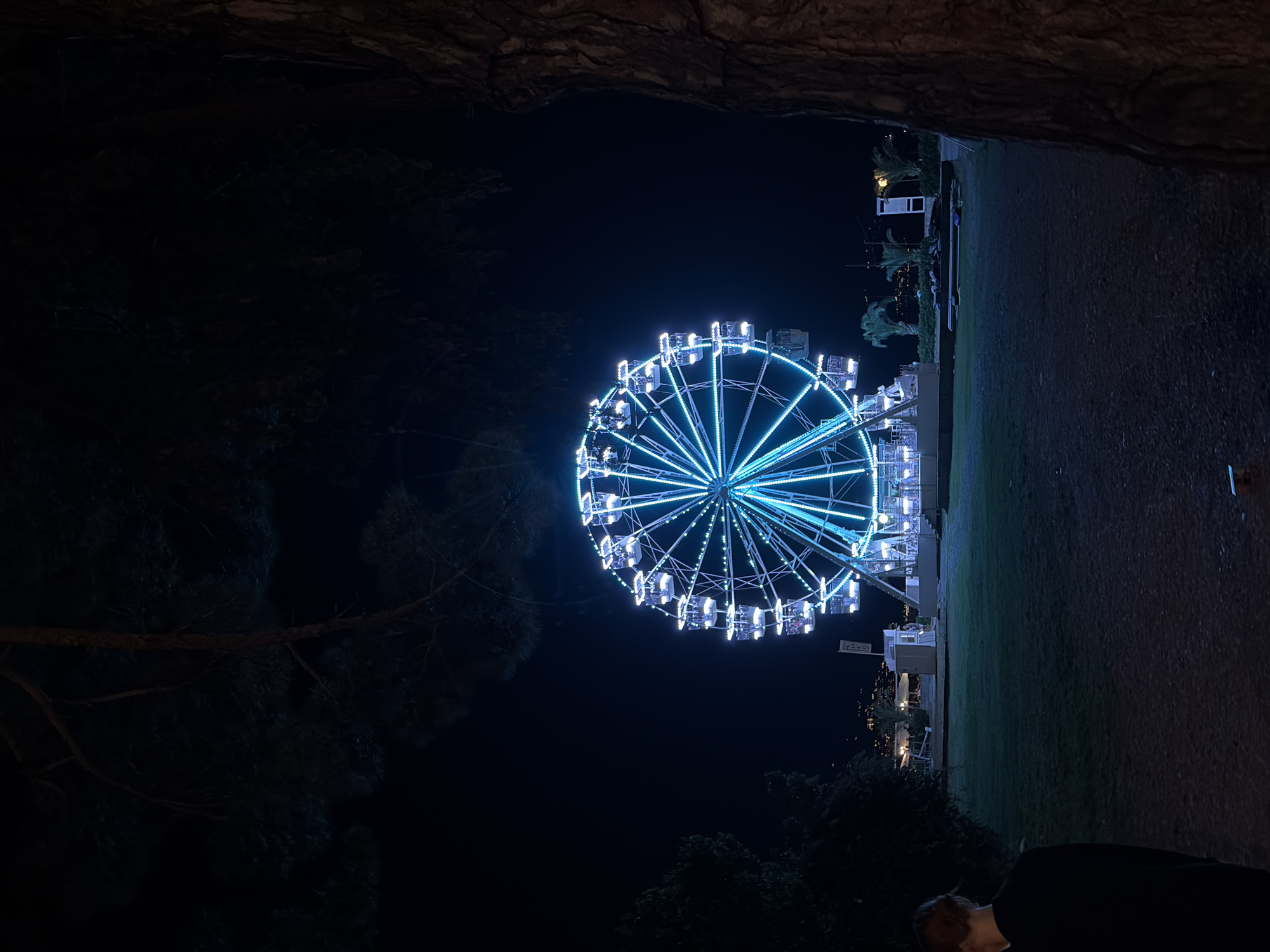 A nighttime, medium-shot photograph shows a brightly lit Ferris wheel in the city of Budva, Montenegro. The Ferris wheel, illuminated by blue LED lights, is the central subject of the image. It is situated in an open area with a dark green lawn in the foreground and a sandy or gravel path behind it. In the background, distant city lights are visible, suggesting a populated area. The scene is framed by the dark silhouettes of trees on the left and right sides of the image. A person, partially visible from the back, stands on the left side of the frame, facing away from the camera and towards the Ferris wheel. The sky is dark, indicating nighttime.