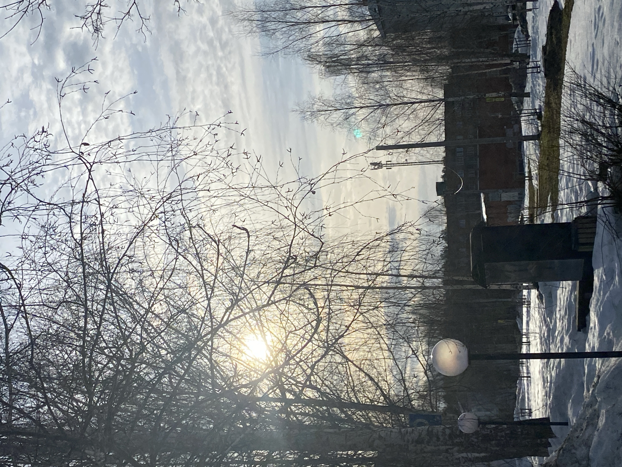 This image depicts an urban streetscape in Noviy, Russia, under an overcast sky with a low sun causing prominent lens flare through the bare branches of numerous deciduous trees. Snow partially covers the ground in uneven drifts, revealing patches of dark earth and dormant vegetation. In the immediate foreground, a spherical street lamp on a dark pole is visible, with a second, similar lamp further back to its left. A dark, rectangular, upright structure stands centrally in the midground. A blue sign is partially affixed to a tree trunk on the far left. The background reveals a multi-story, dark-colored building with visible windows, a smaller red-brick structure, and a utility tower, all partially obscured by the distant tree line. No individuals, actions, or interactions are present within the scene.