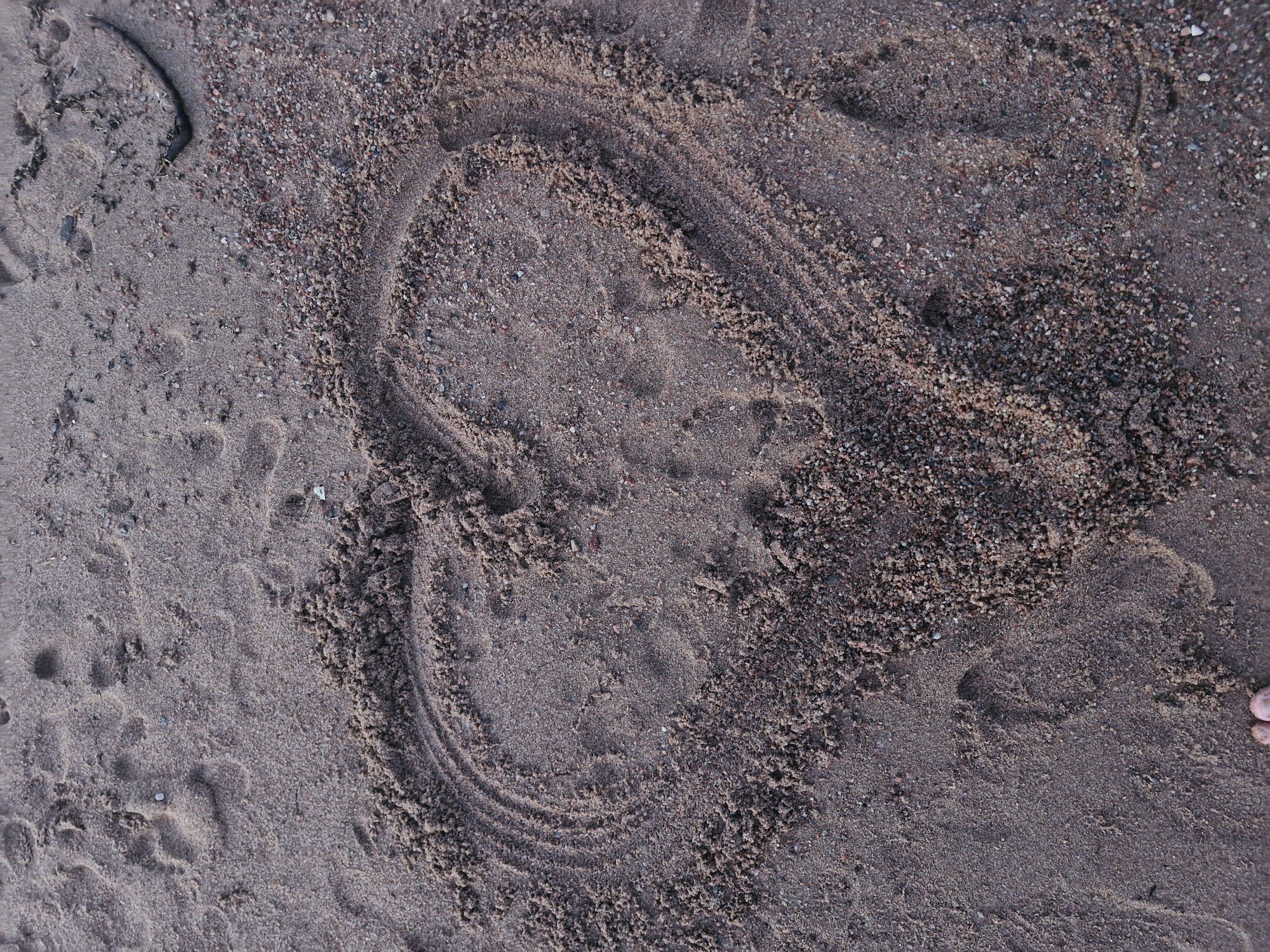 A heart shape has been drawn in the sand on a beach. The sand is a mix of light brown and gray, with small pebbles interspersed throughout. The heart shape is clearly defined, with raised edges where the sand has been pushed aside. There are also some footprints visible in the sand around the heart. The lighting suggests it may be early morning or late afternoon. The image does not contain any identifiable landmarks or features that would allow for the determination of its specific location within Bulan-Segettu, Kyrgyzstan.