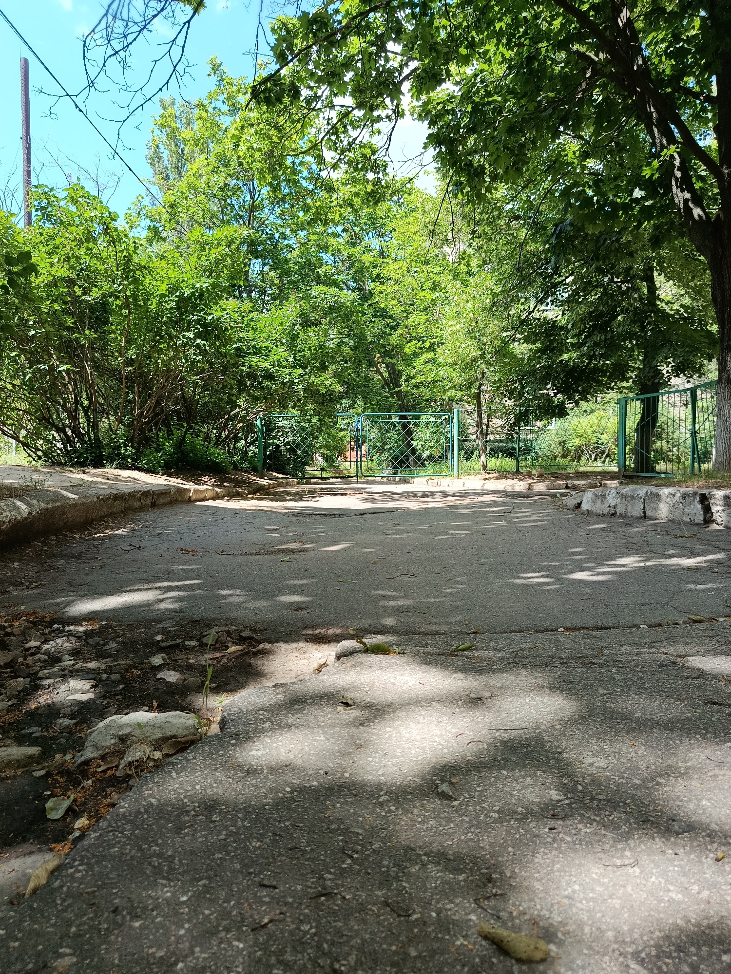 An outdoor, ground-level, wide shot of a worn asphalt pathway. The pathway is bordered by rough, concrete curbs and surrounded by dense green foliage. In the background, a green metal fence runs horizontally, with a gate visible. The sky is partly visible through the branches of large, leafy trees. Sunlight casts dappled shadows across the pathway, and scattered debris, including leaves and small stones, litters the ground. The scene appears to be in an urban park or a neglected public space.