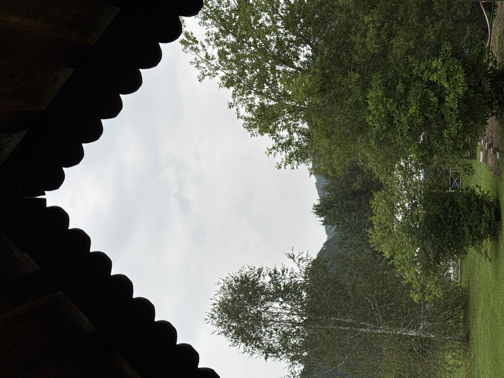 The image is taken from a covered, wooden structure with a scalloped overhang, looking out onto a rural landscape. The foreground shows a neatly mown green lawn with a few scattered square stones or pavers. To the left, a tall birch tree with a distinctive white and black trunk stands prominently, surrounded by its leafy green foliage. To the right of the birch tree is a dense, bushy green shrub. Further into the background, a larger, mature tree with a full canopy of green leaves dominates the right side of the frame. Beyond the trees, a gently sloping hillside is covered in a dense forest of pine trees. The sky is overcast with a soft, diffused light. There are no people or animals visible in the scene. The location is identified as Усть-Мана, Russia.