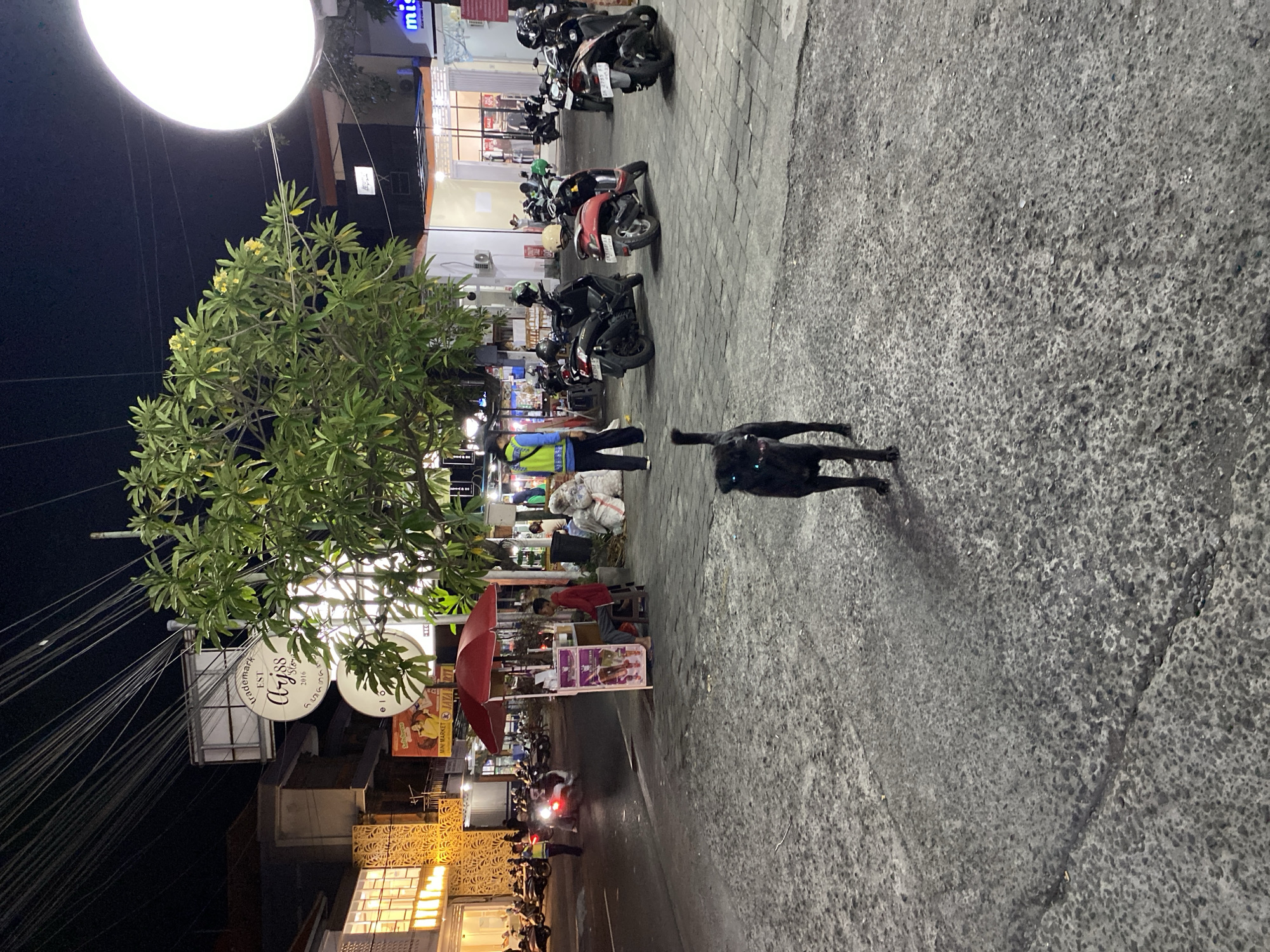 The image depicts a street scene in North Kuta, Indonesia, at night. A bright, round street lamp illuminates a tree and surrounding area. A black dog is walking on the sidewalk, partially visible. Several parked motorcycles are aligned along the road. A person in a yellow and blue safety vest is standing near a food stall. A man wearing a red top is positioned behind the food stall. Power lines are visible overhead. Building facades with signage can be seen, including one labeled "Ajiss" with additional text in an unreadable font. A motorcycle with its headlight on is passing on the street.