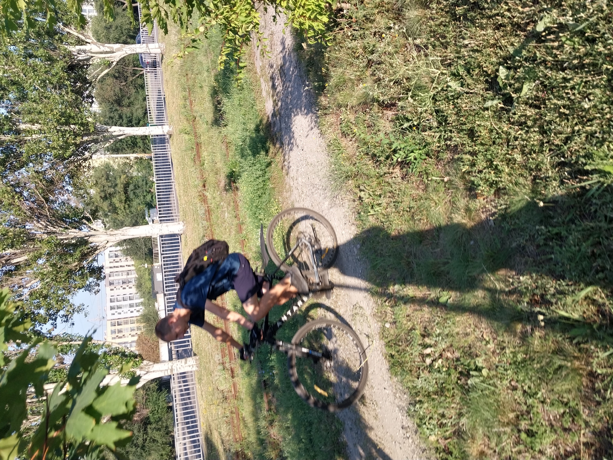A man is riding a bicycle on a dirt path in Dnipro, Ukraine. He is wearing a dark blue t-shirt, dark shorts, and a black backpack. The bicycle is dark colored with visible spokes and wheels. The man is in motion, creating a shadow on the path. The path is bordered by grass and some overgrown vegetation. In the background, there is a white metal fence, trees with white trunks, and a multi-story building. The lighting suggests it is daytime, likely late afternoon due to the long shadows. The overall scene depicts an urban park or recreational area.