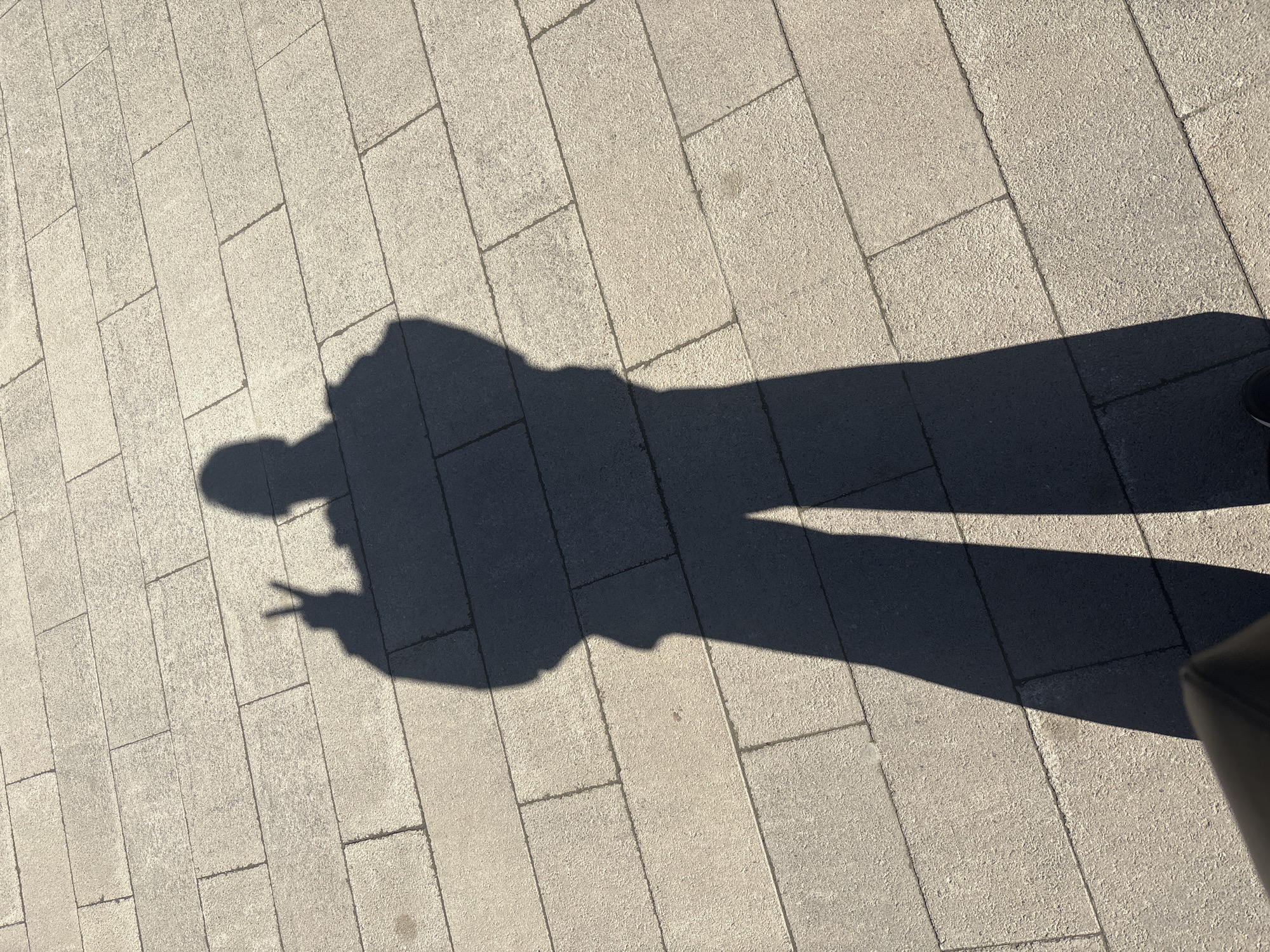 The image shows the shadow of a person standing on a paved area of rectangular blocks. The shadow suggests the person is holding up two fingers in a peace or victory sign. Part of a dark object, likely a bag or piece of luggage, is visible in the bottom right corner. The overall scene is lit by sunlight, casting the shadow on the stone pavers. The exact location within Perm, Russia cannot be determined based on the visual information in the image.