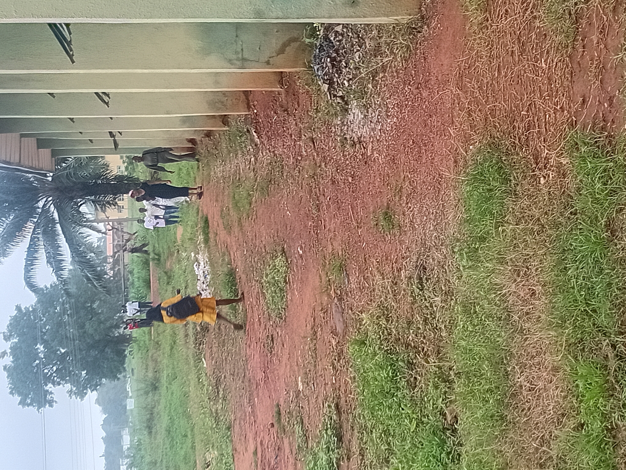 In Ogbogbo, Nigeria, a group of individuals are walking along a dirt path next to a light green building. The path is covered in reddish-brown soil and gravel, with patches of dry grass and some green vegetation. A young woman in a yellow dress and a black backpack is walking away from the camera towards the left side of the frame. Behind her, several other people, including men in white shirts and at least one woman in a black dress, are walking in the same direction along the path. The building on the right has a series of vertical, light green supports or columns and some wooden overhangs. In the background, there are trees, including a palm tree, and evidence of other structures. The overall atmosphere appears to be overcast, suggesting a cloudy or possibly rainy day.