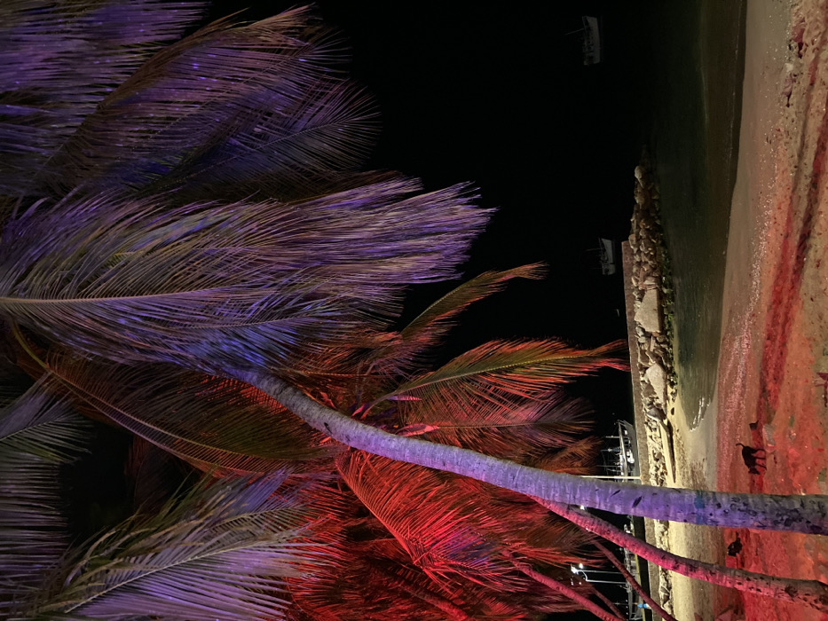 A nighttime scene featuring palm trees illuminated with vibrant colors. Purple and red hues dominate the foliage, creating a dramatic contrast against the dark sky. A sandy beach and rocky shoreline border a body of water. Silhouetted boats are visible in the distance. The composition is angled, giving a unique perspective of the tropical setting.