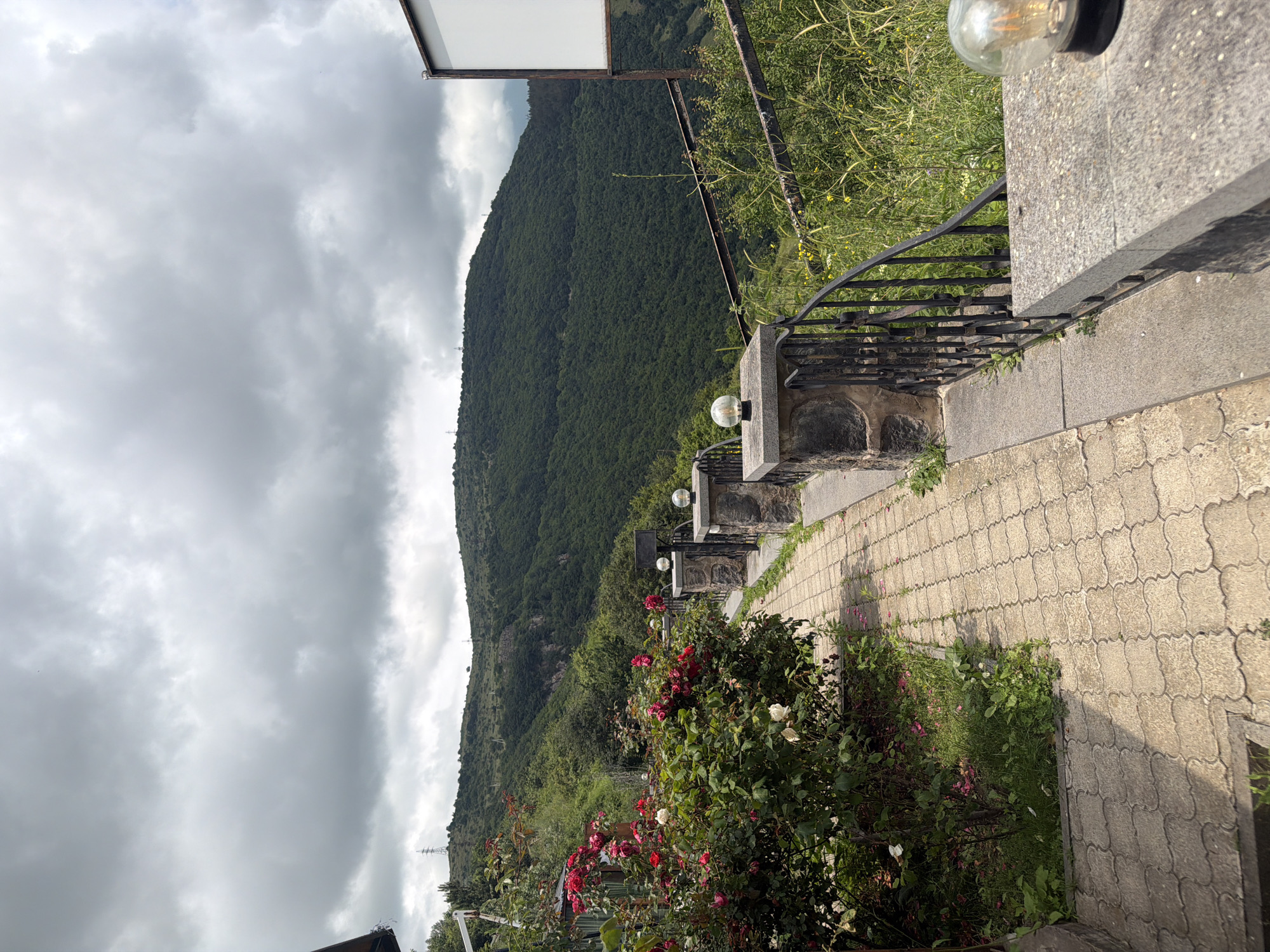 The media file captures a scenic view of a hillside covered in dense green trees, under a dramatic, overcast sky. A paved walkway, made of interlocking rectangular stones with a decorative pattern, runs along the right side of the frame, bordered by a stone and metal railing. Several spherical lights are mounted on stone pillars along the railing, suggesting this is an outdoor area, possibly a viewpoint or a garden path. In the foreground, a vibrant rose bush is in bloom, displaying a mix of red and white flowers, adding a touch of color to the scene. Beyond the walkway and railing, wild grasses and some yellow wildflowers grow. The overall impression is one of natural beauty combined with a man-made pathway designed to appreciate it. The time of day appears to be daytime, given the light, but the heavy cloud cover creates a subdued atmosphere. There is no visible text in the image. The location context is Goris, Armenia, which aligns with the mountainous, verdant landscape depicted.