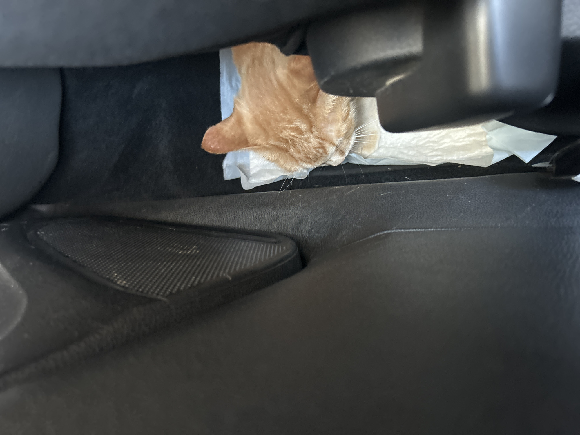 An orange tabby cat is nestled in a crevice between car seats, resting on a white paper towel. The cat is facing towards the right side of the frame, with its head down. The interior of the car is visible, with black upholstery and a speaker grille on the left. The scene is indoors, likely within a vehicle. There is no indication of the location in the city of Усмангали, Russia.