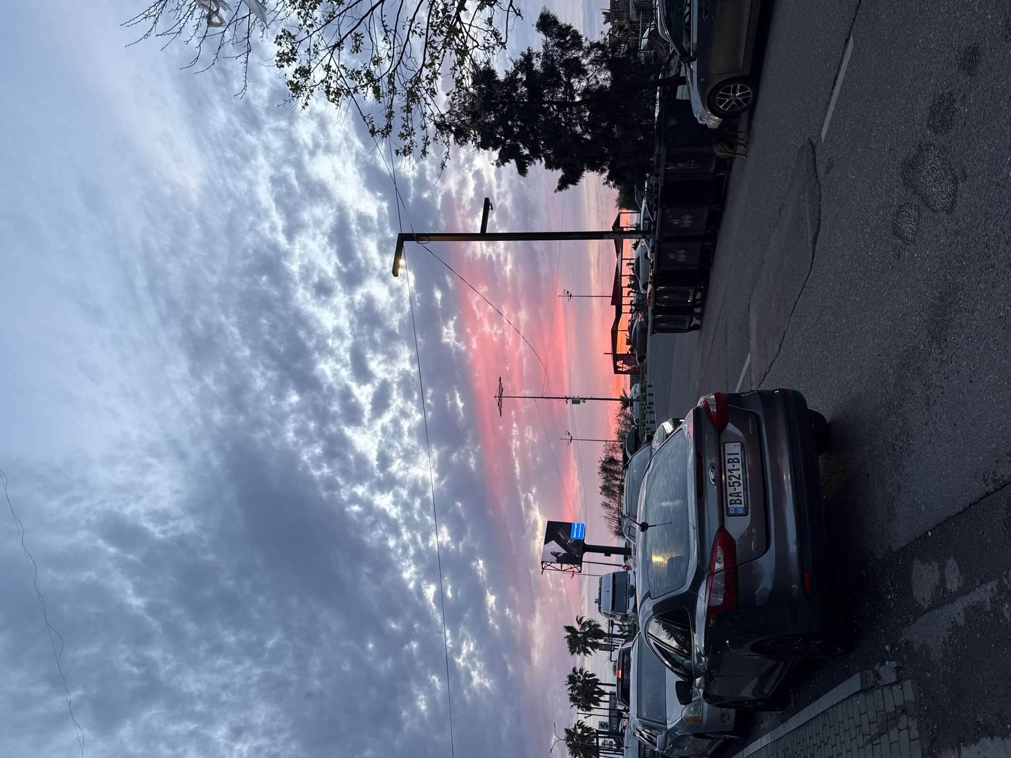The image depicts a street scene in Batumi, Georgia at sunset. The sky is a mix of grey clouds and pink and orange hues. Cars are parked along the side of the street, with a grey Ford Focus prominently featured. The license plate of the Ford is visible and reads "BA-521-BI" under the flag of Georgia. Several trash bins are near the cars. A billboard with a blue glow is visible in the background, along with palm trees and streetlights. A dog can be seen between two cars. A tree without leaves is in the top left corner, and a tree with dense leaves is near the trash bins. The road is paved.