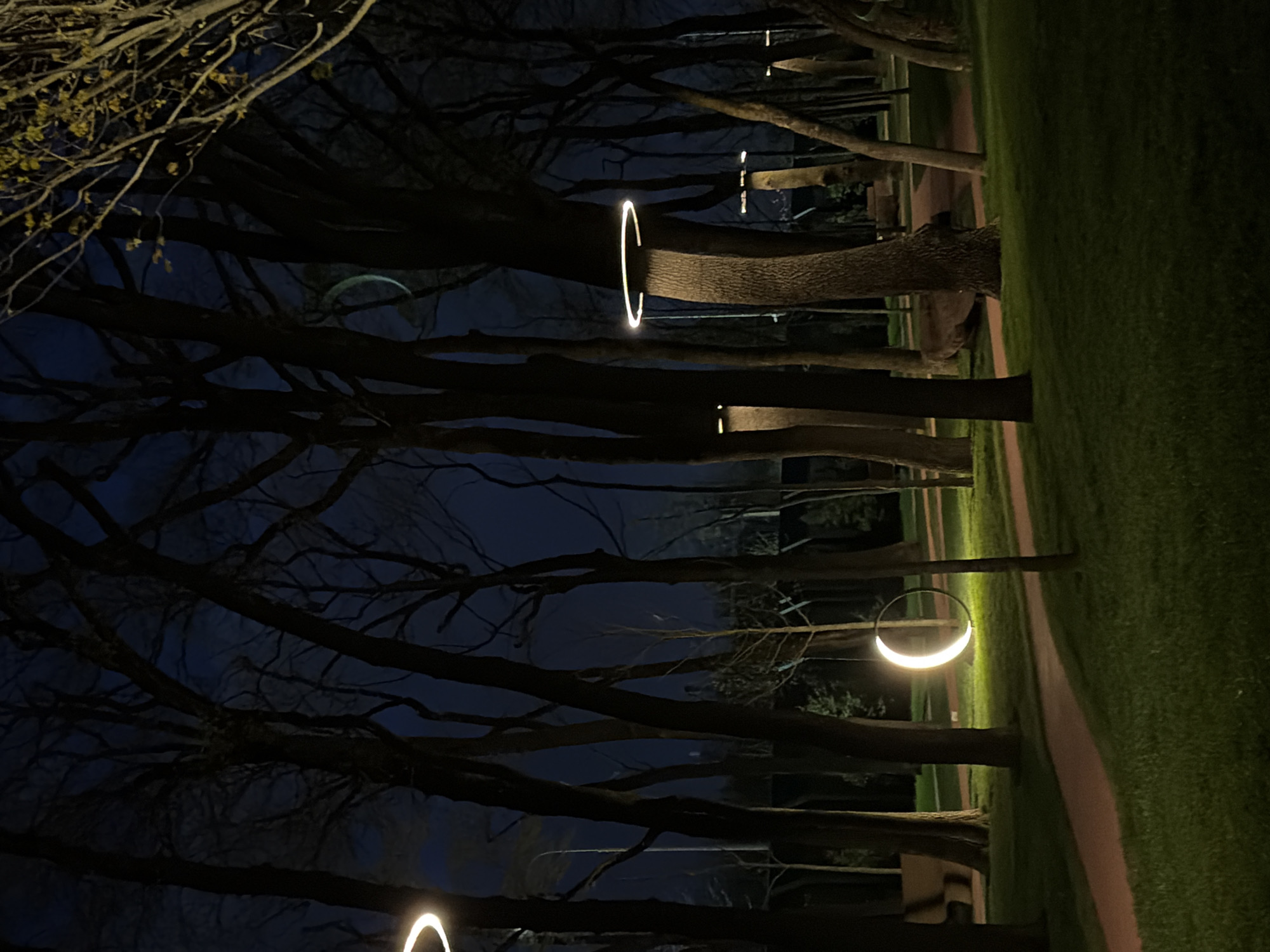 This image captures a tranquil nighttime scene within a park or treelined avenue. Numerous deciduous trees, mostly bare or with very sparse leaves, dominate the view, their dark trunks and branches silhouetted against a deep twilight or night sky.
Several distinctive, glowing light fixtures are prominently featured. These appear as crescent-shaped or full circular rings of light, attached to the trunks of various trees. One particularly bright, C-shaped light fixture illuminates a thick tree trunk in the mid-ground, while another full circular light is visible further down the path, and a fainter crescent-shaped light appears higher up among the branches.
A light-colored path, likely paved or graveled, curves gently from the right side of the frame into the distance. Lush green grass borders the path and extends between the trees. The artificial illumination from the ring lights casts a soft glow on the path and surrounding foliage, creating a stark contrast with the pervasive darkness of the unlit areas and the sky.
The time of day is clearly night or late dusk, evidenced by the dark sky and the necessity of artificial lighting. The scene suggests a calm, peaceful atmosphere in a well-maintained outdoor public space. No people are visible, nor is there any discernible weather event. No text is present in the image. This park-like setting is located in Krasnodar, Russia.
